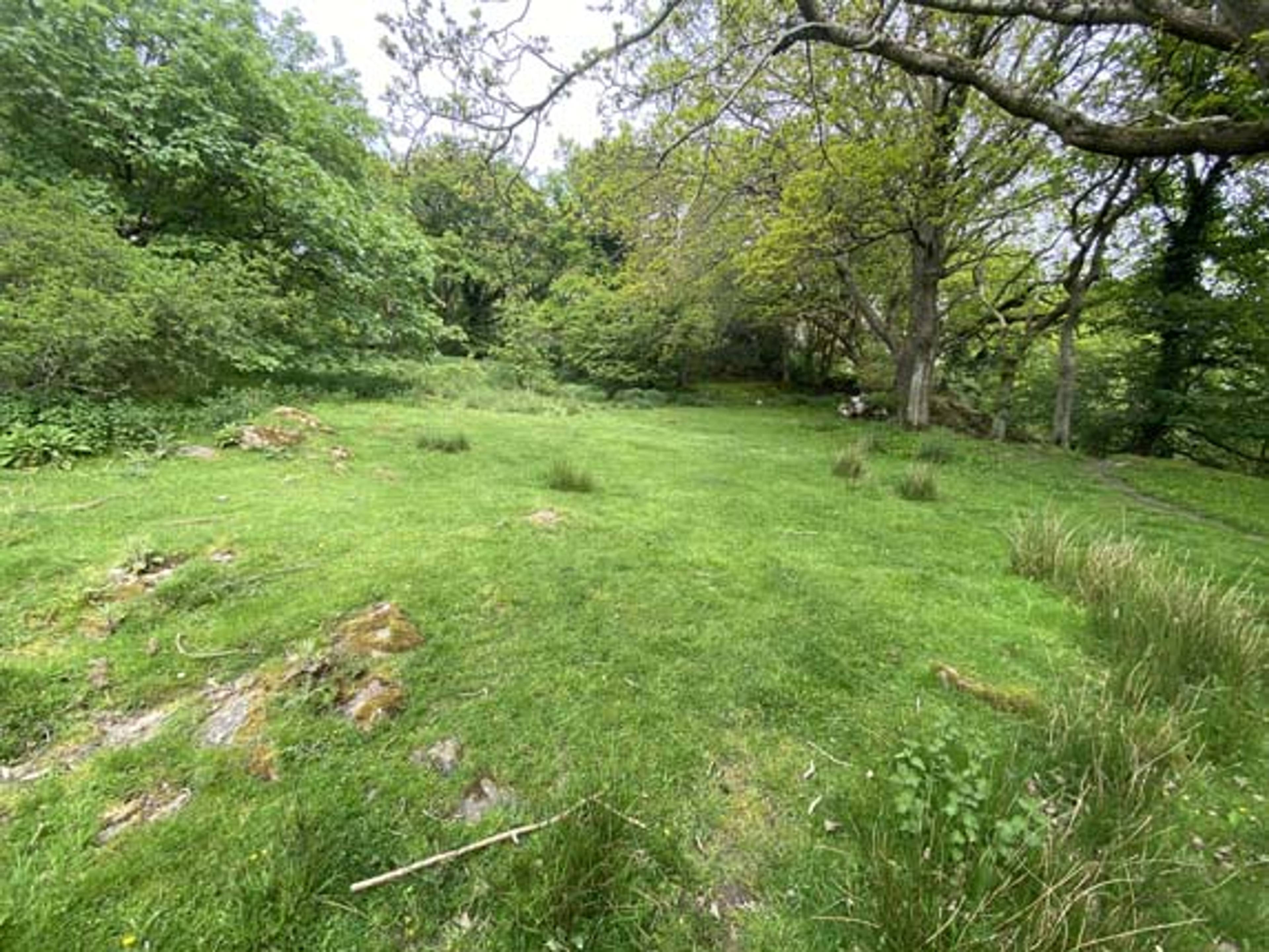 Woodland