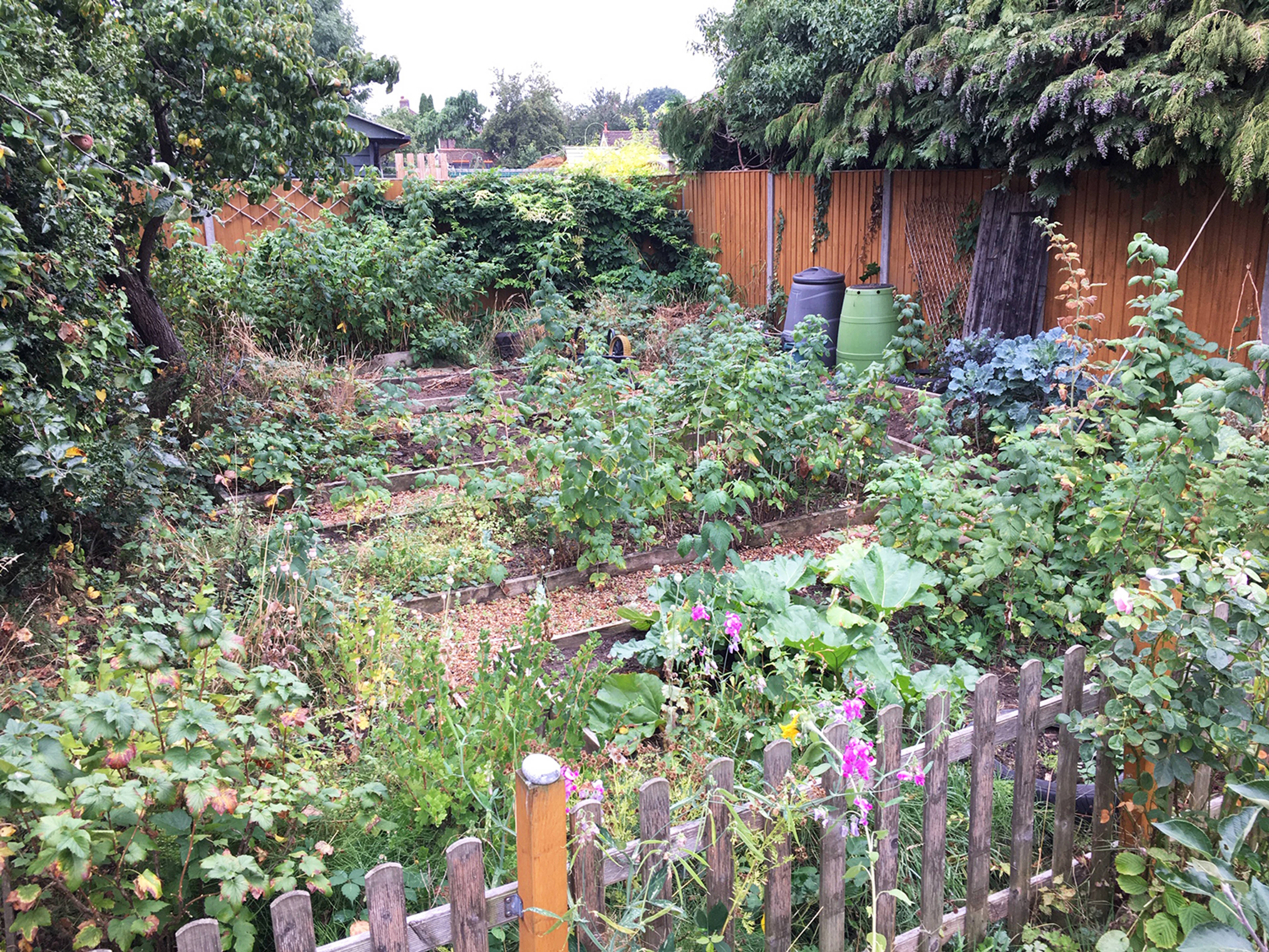 Cottage Garden