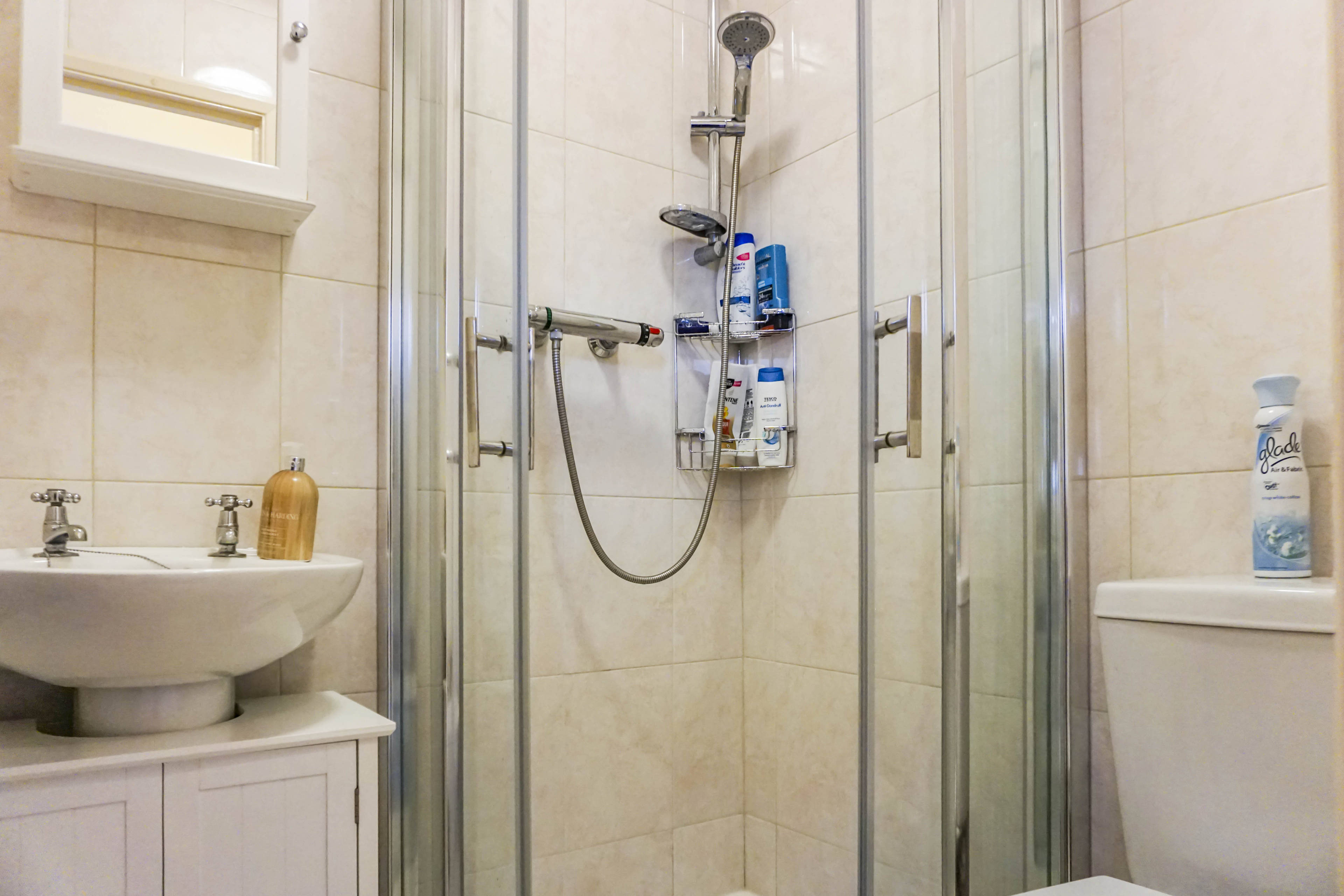 Annexe Shower Room