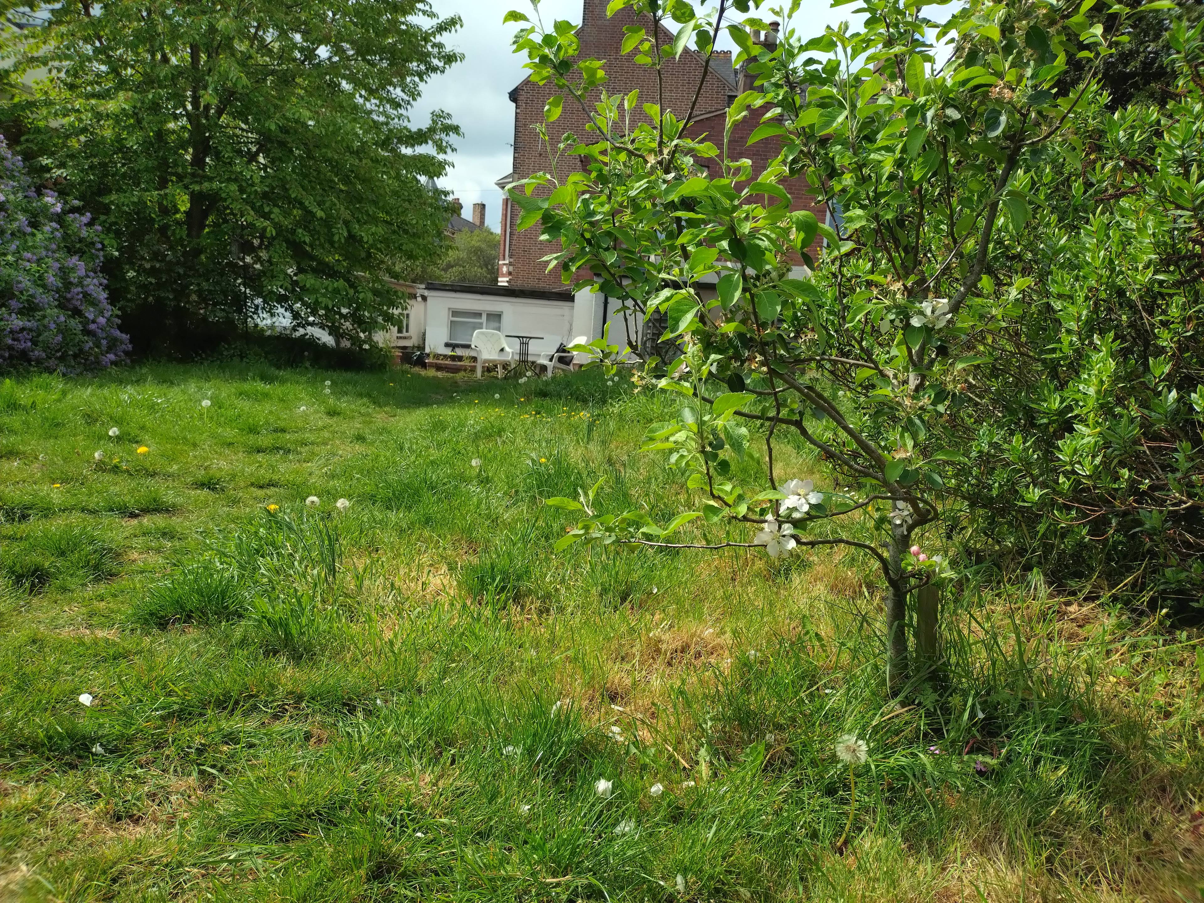 Communal Gardens