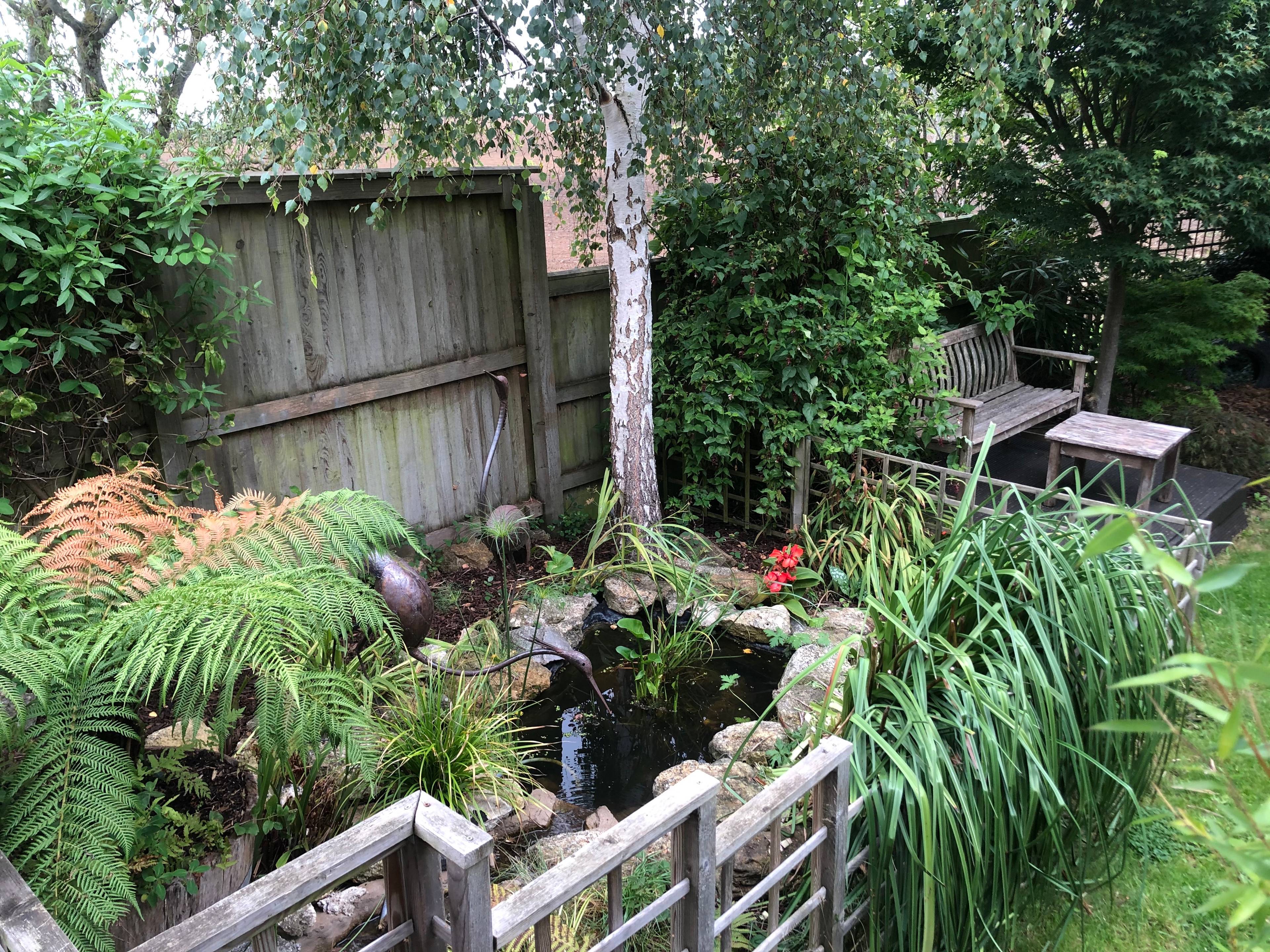Pond