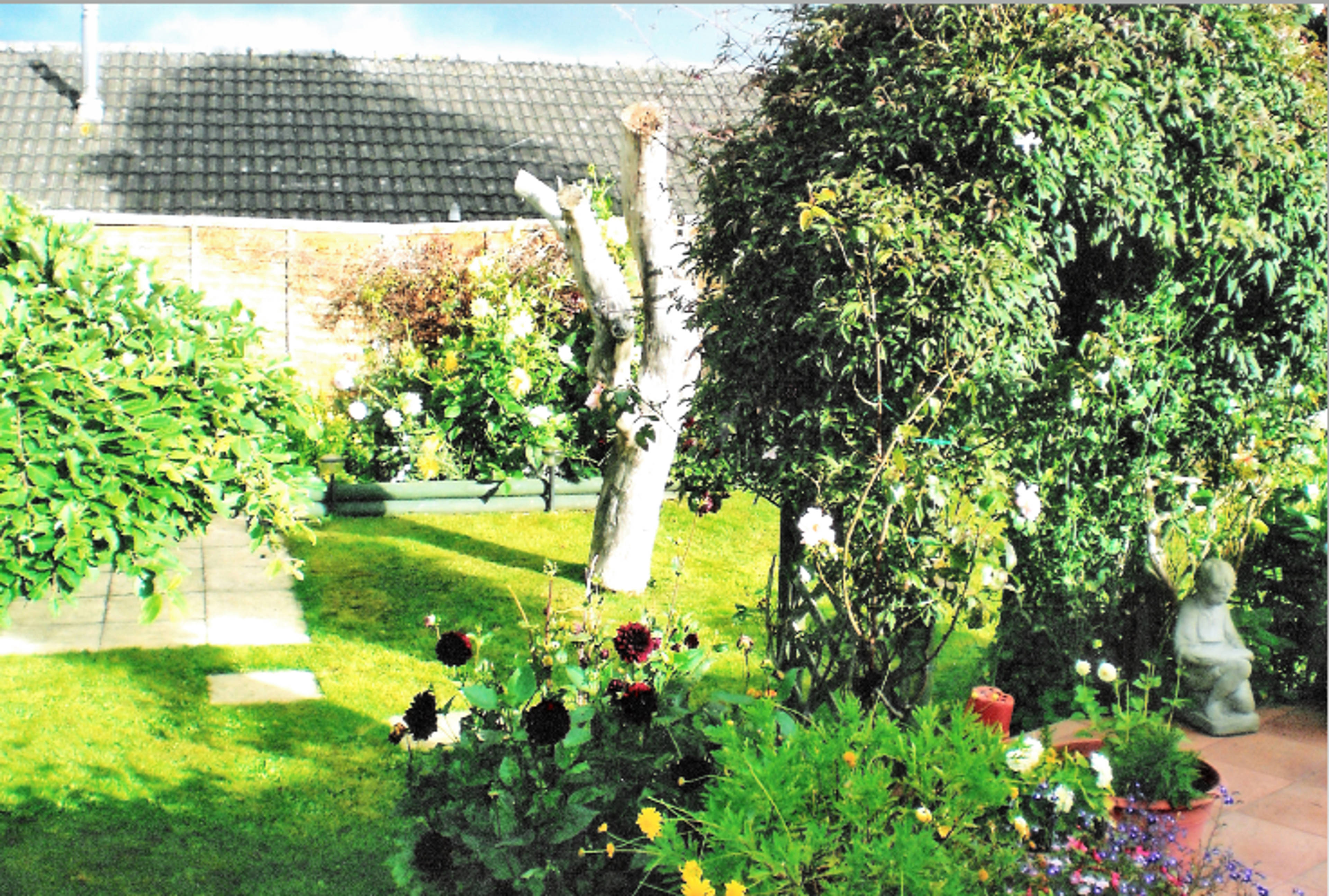Mature Garden