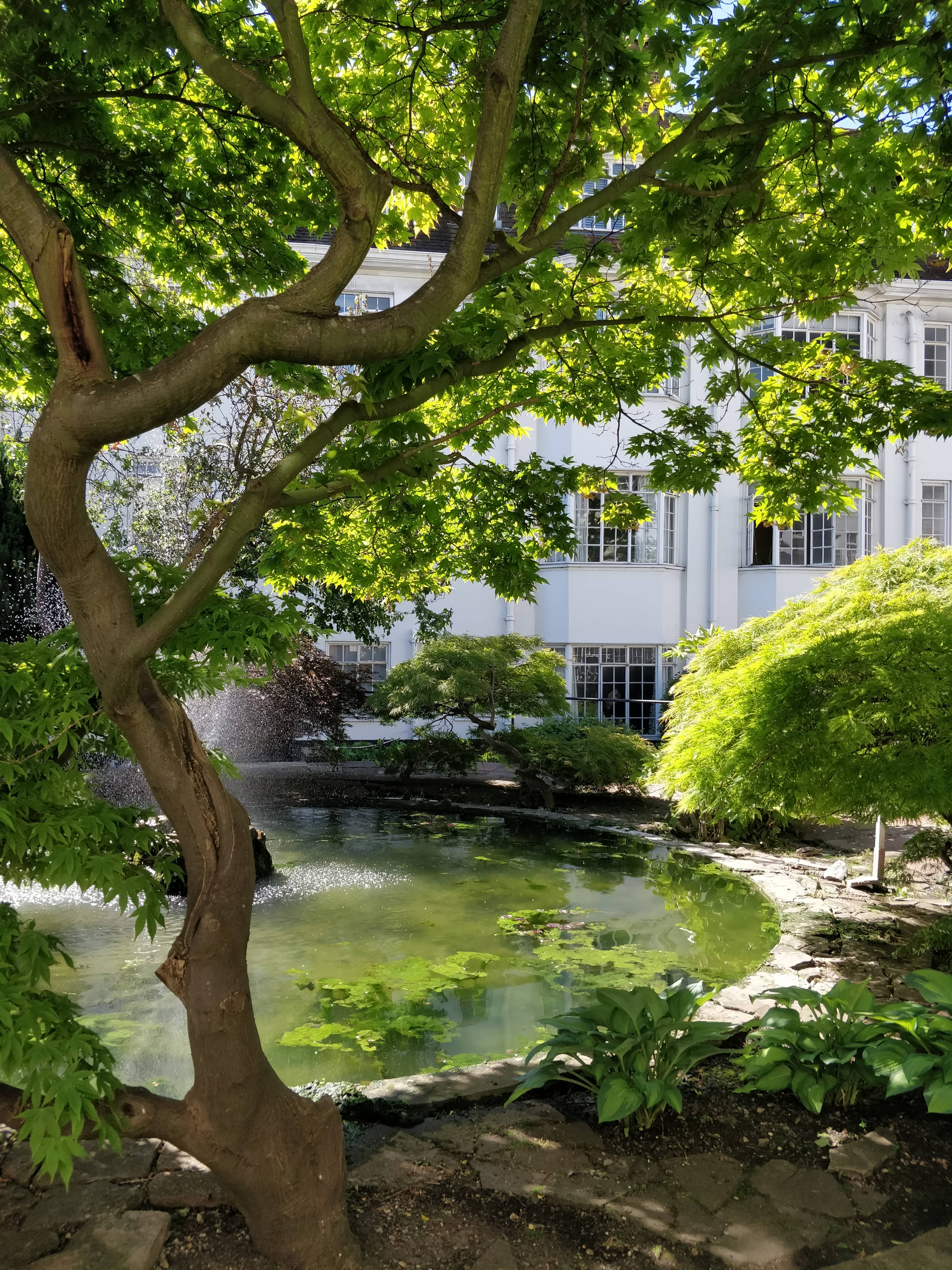 Communal Gardens