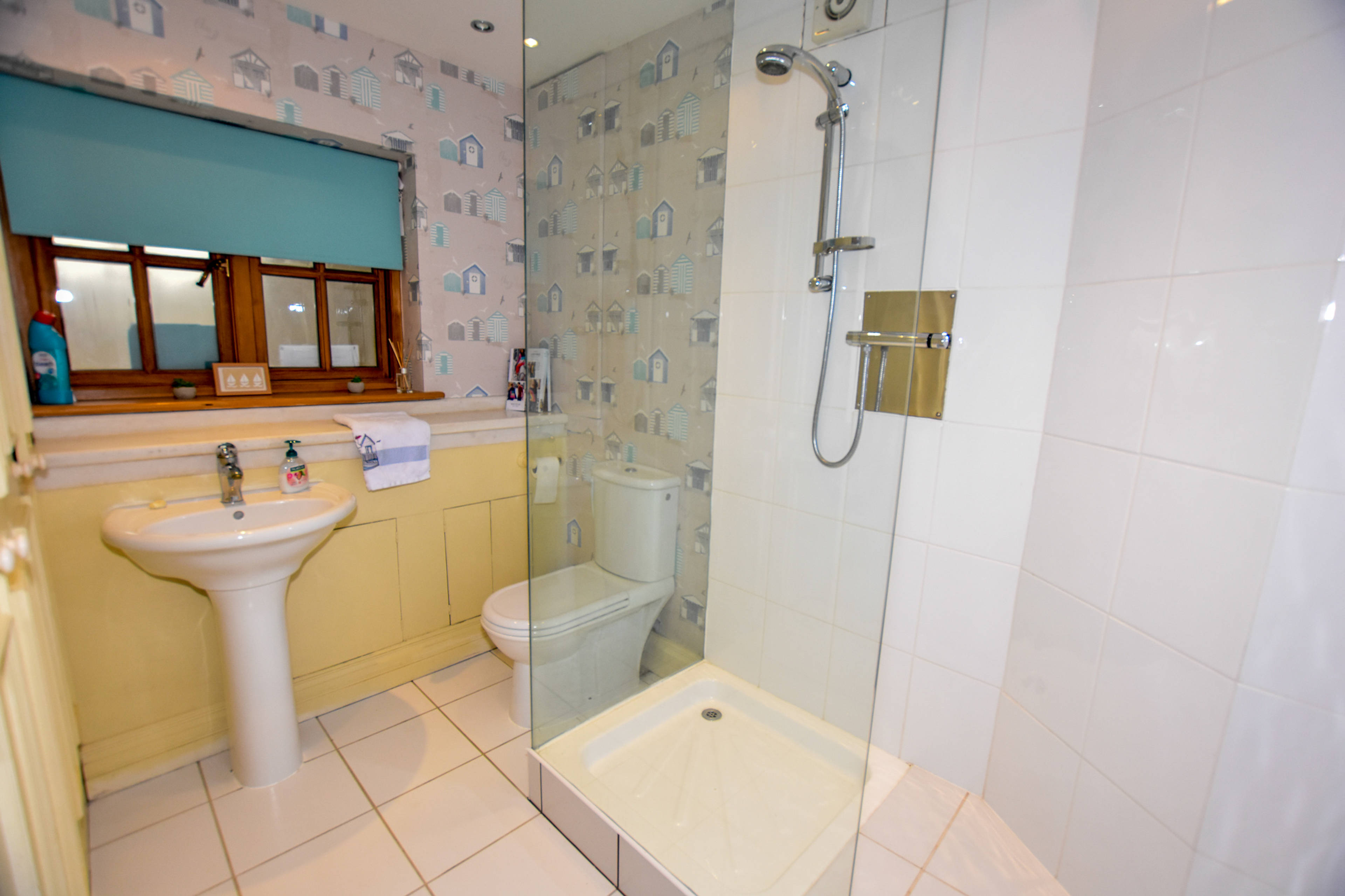 Downstairs Shower