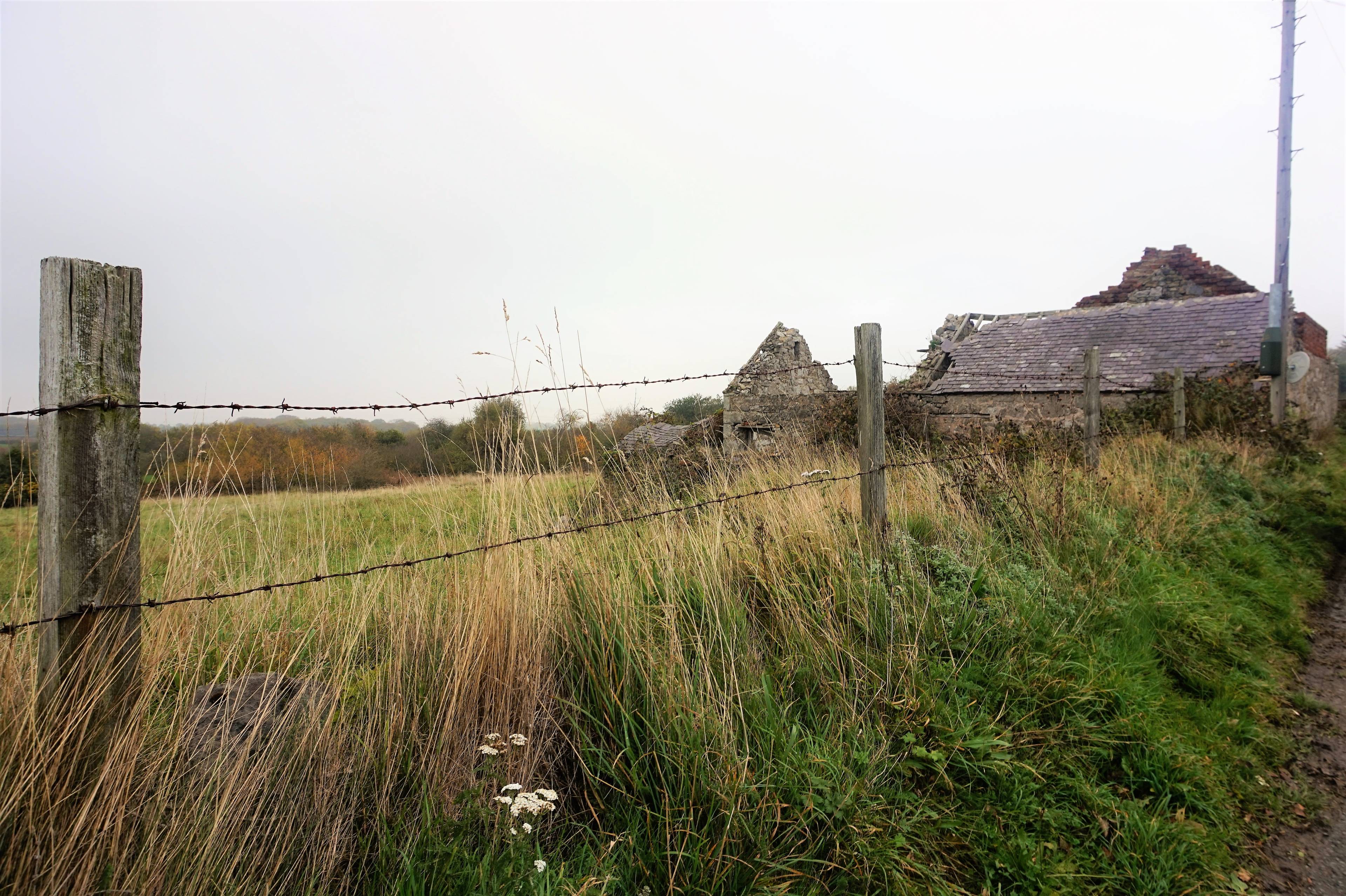 Land