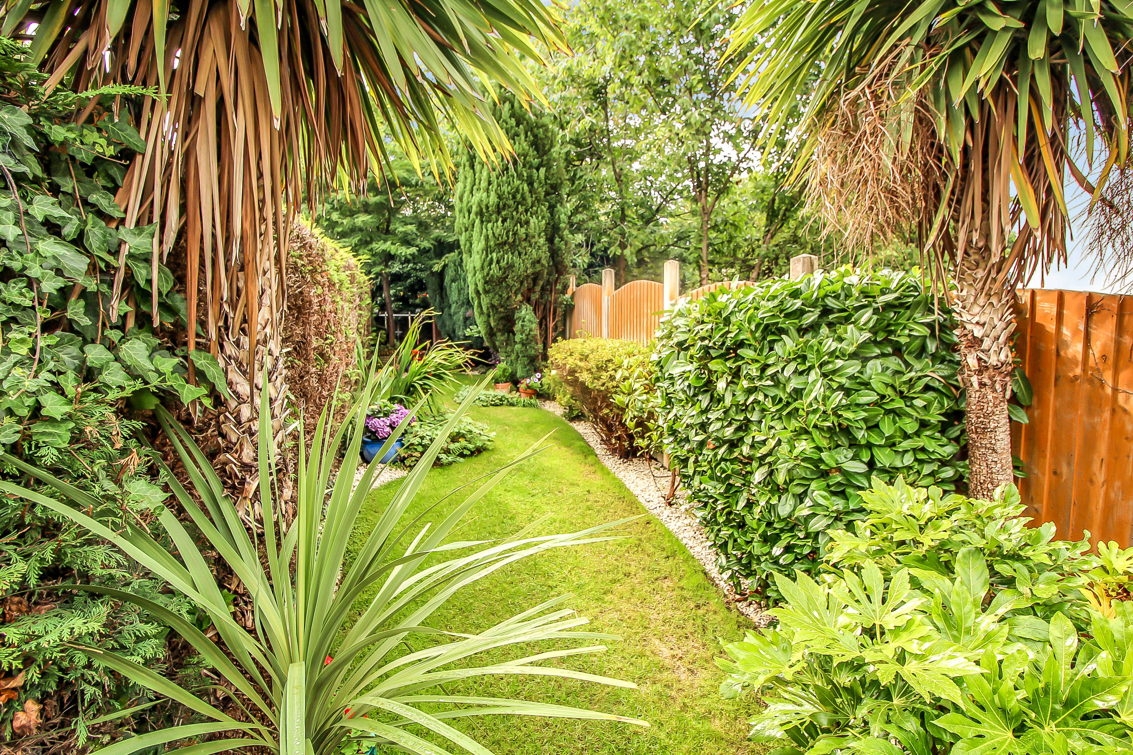 Garden