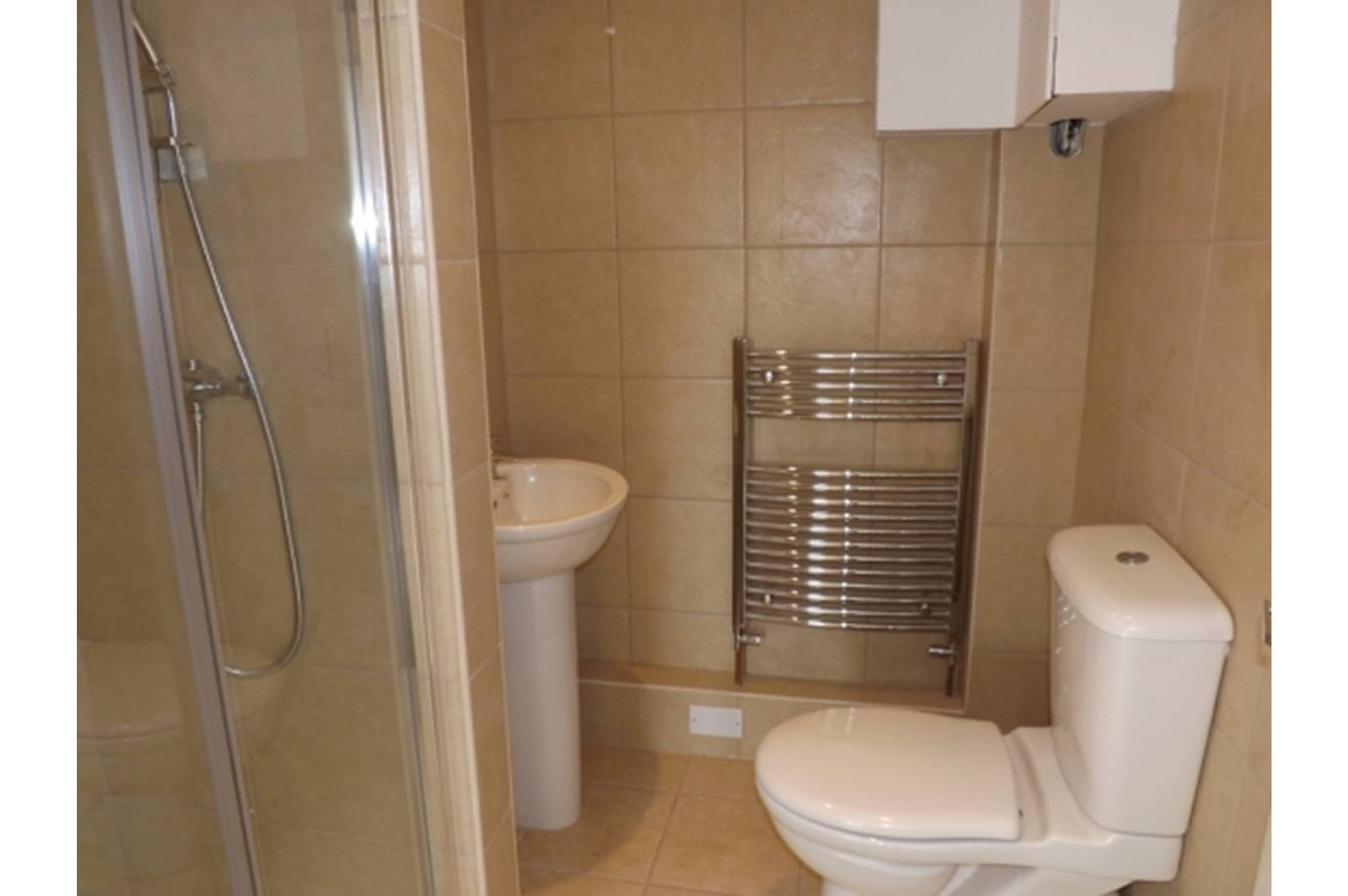 Downstairs Shower