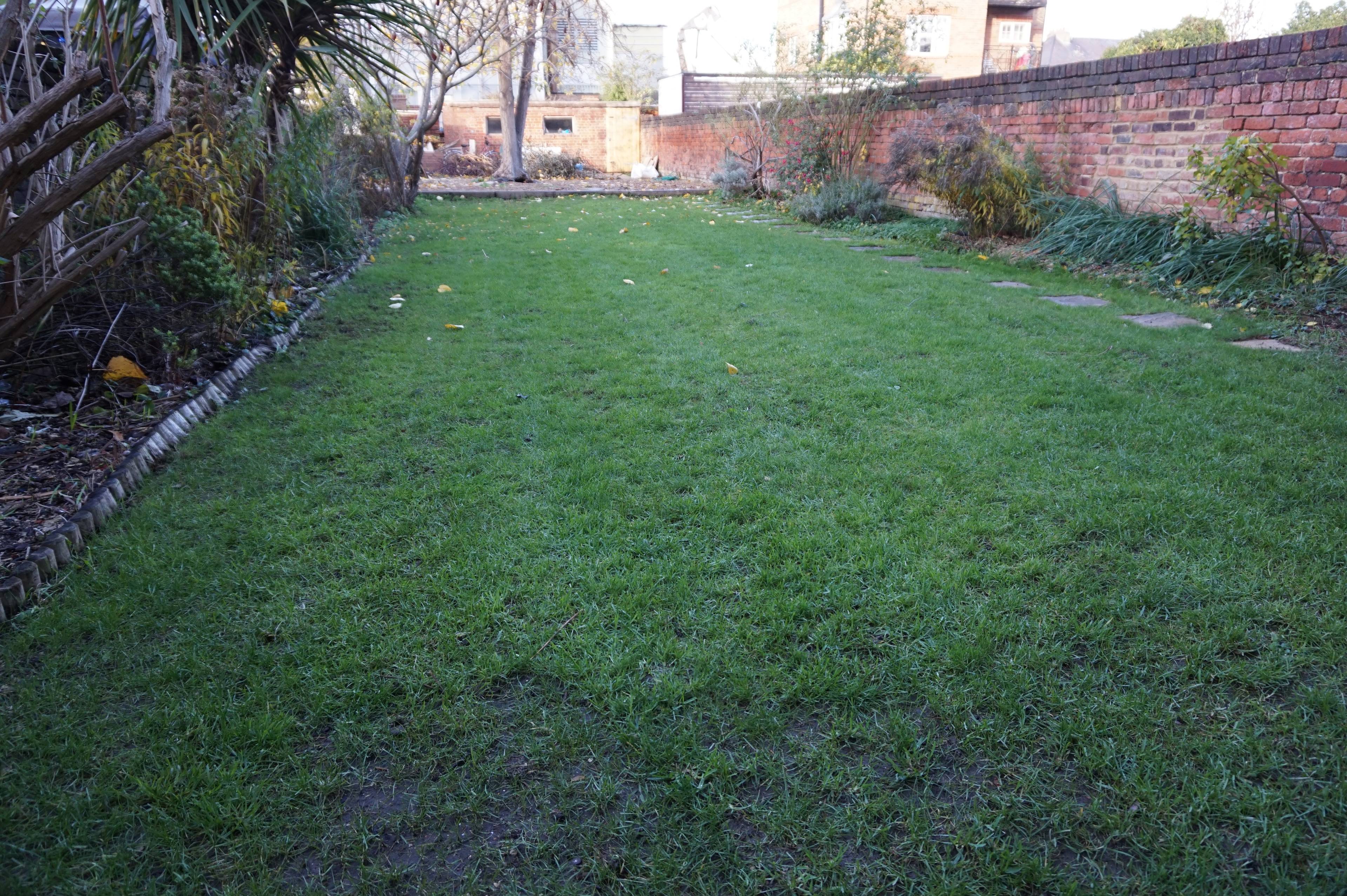 Communal Gardens