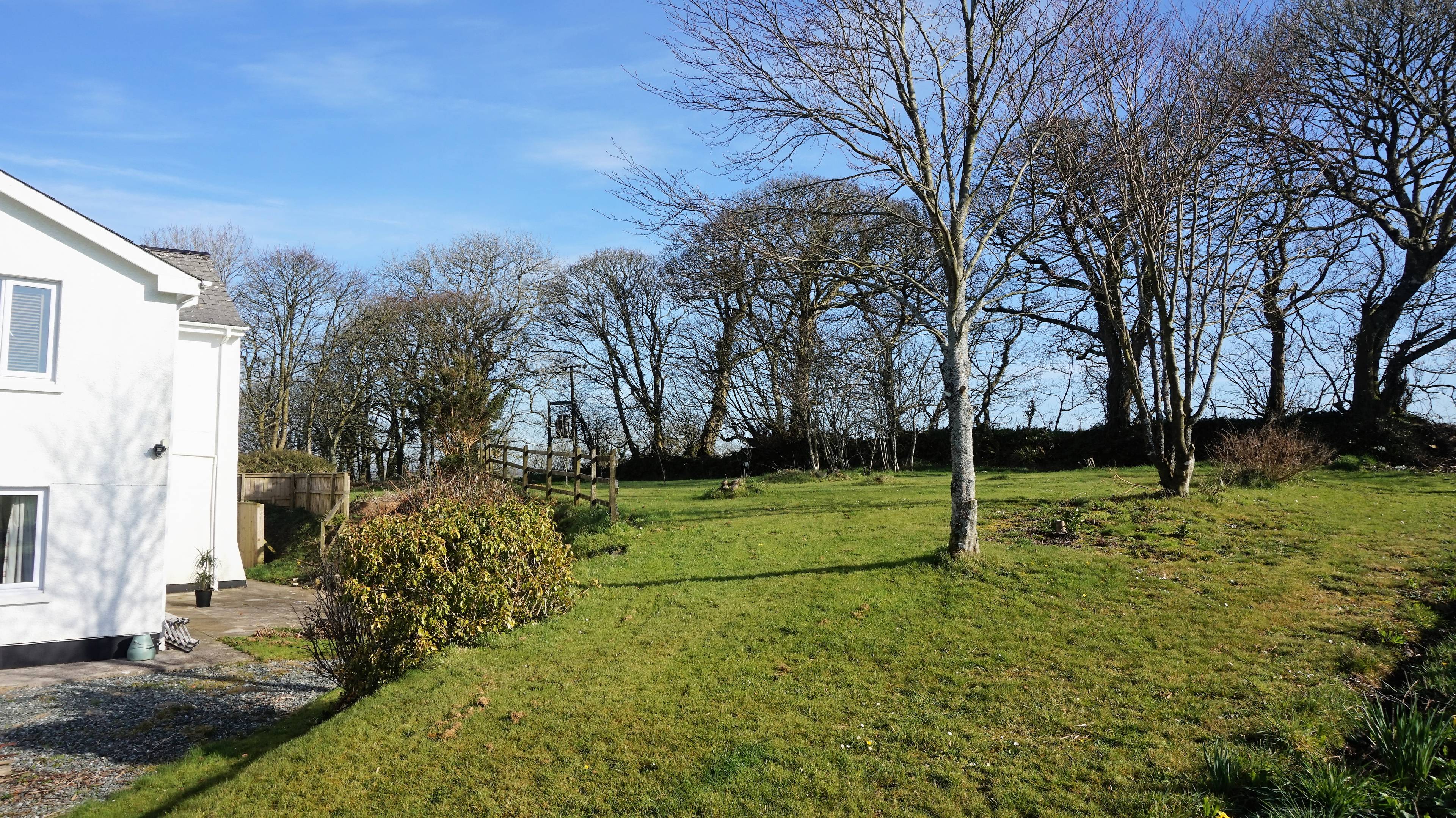 Mature Garden