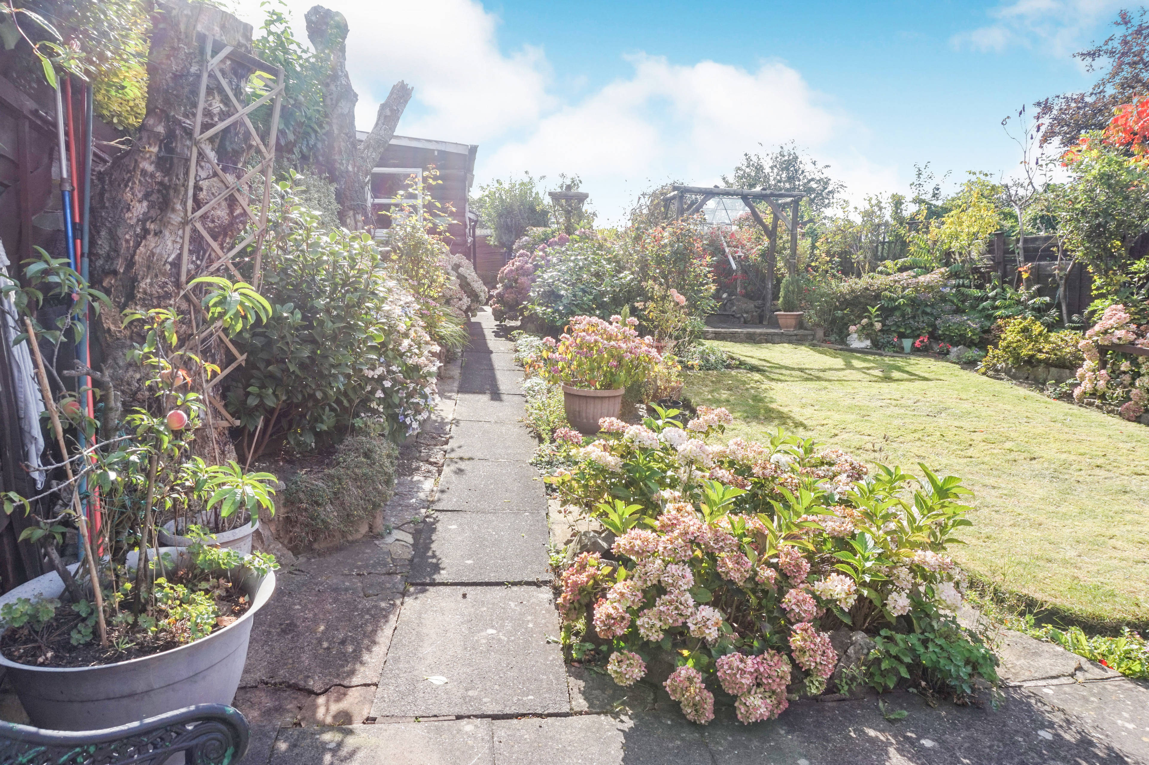 Garden