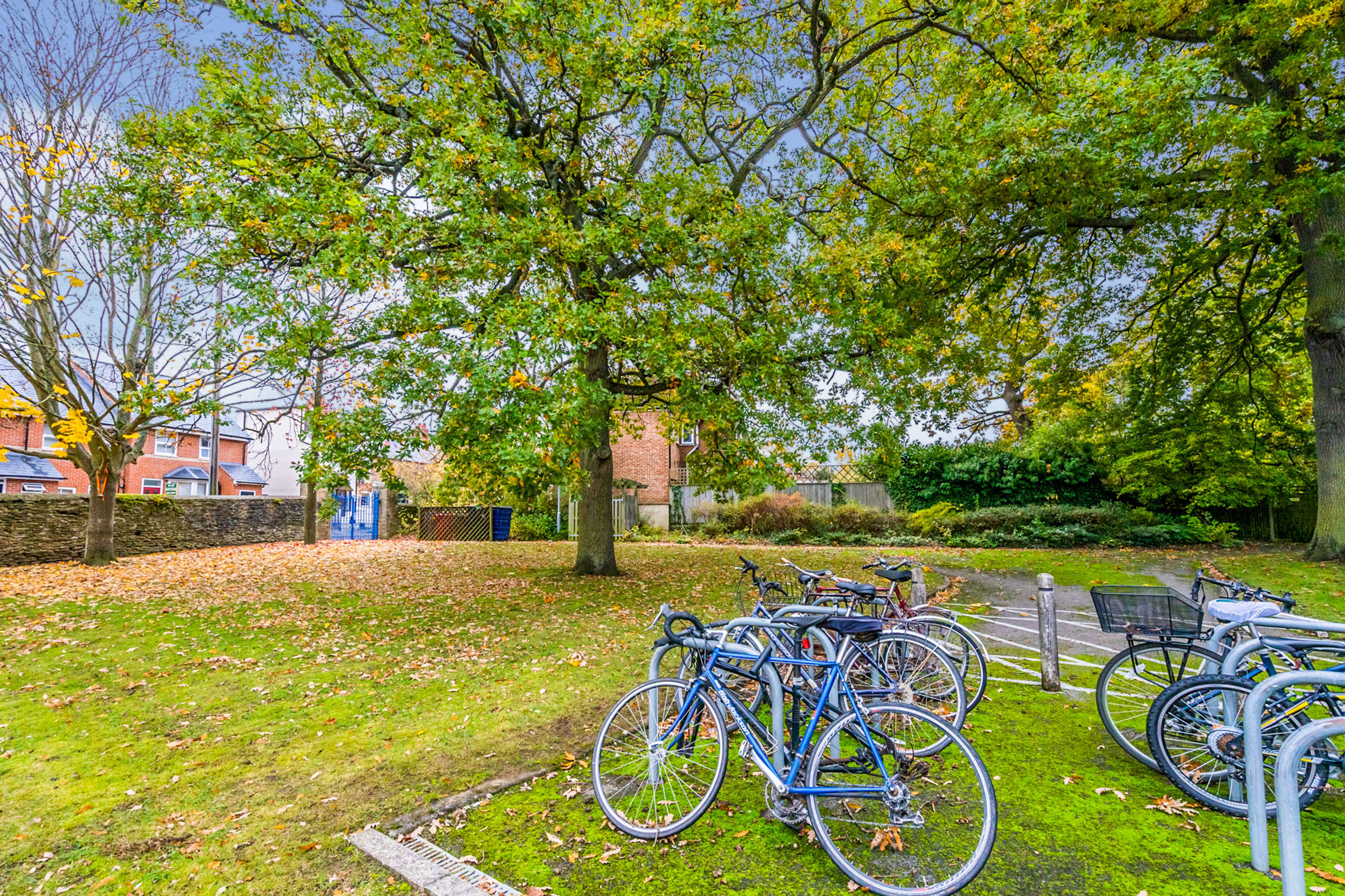 Communal Gardens