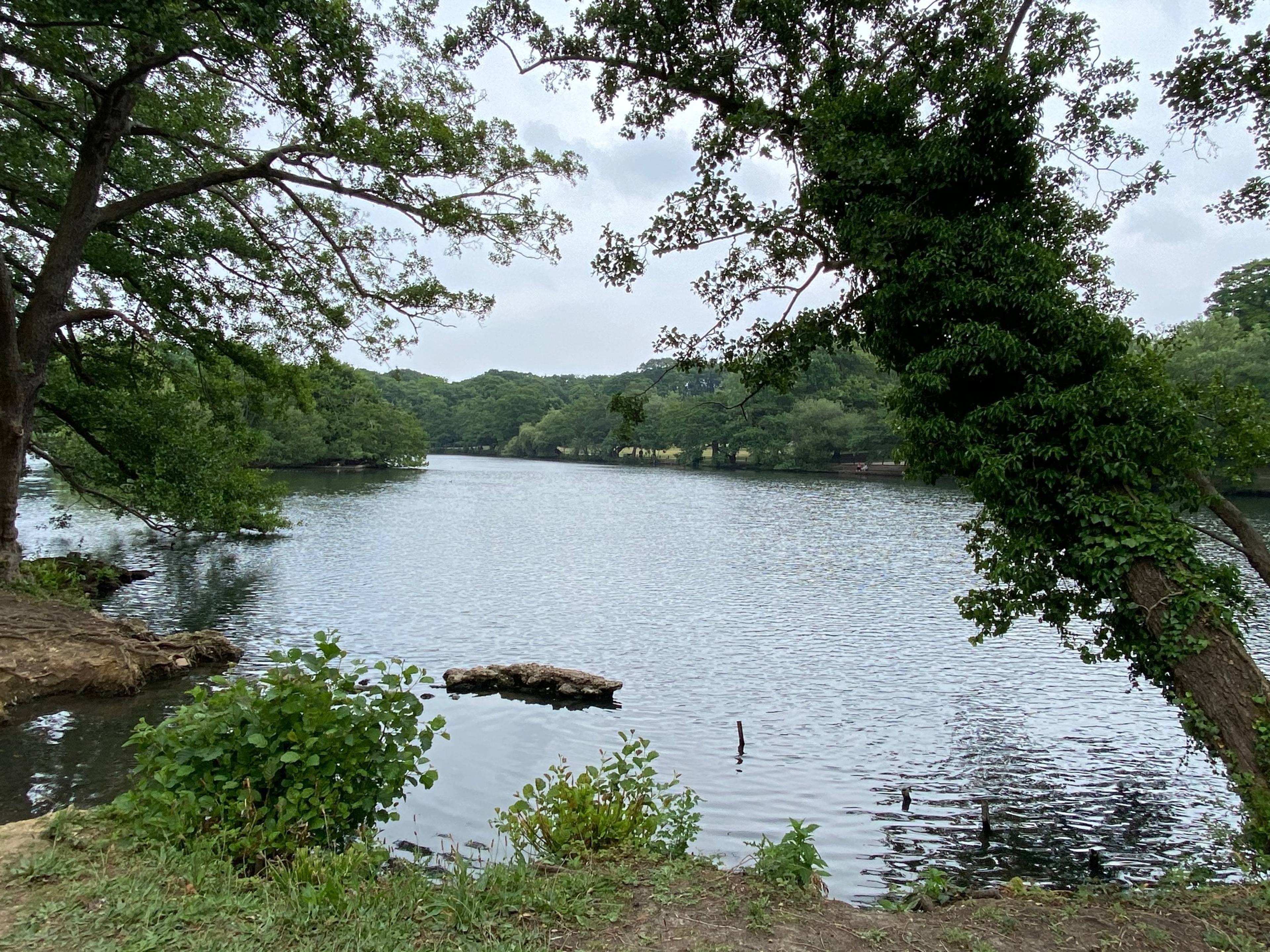 Local Area