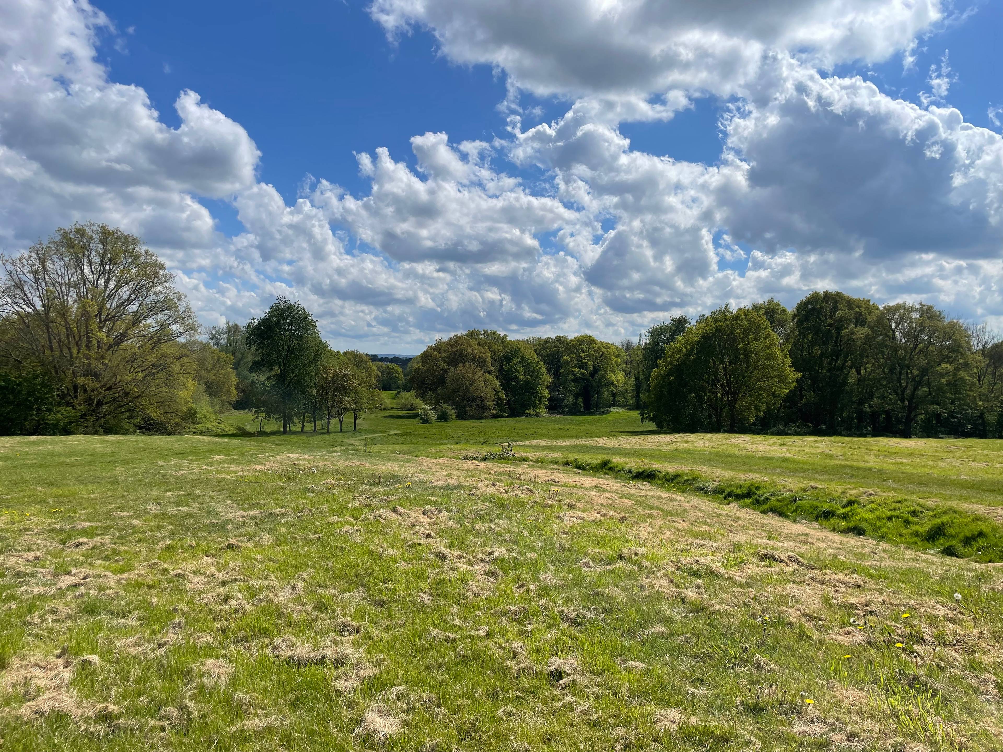 Field