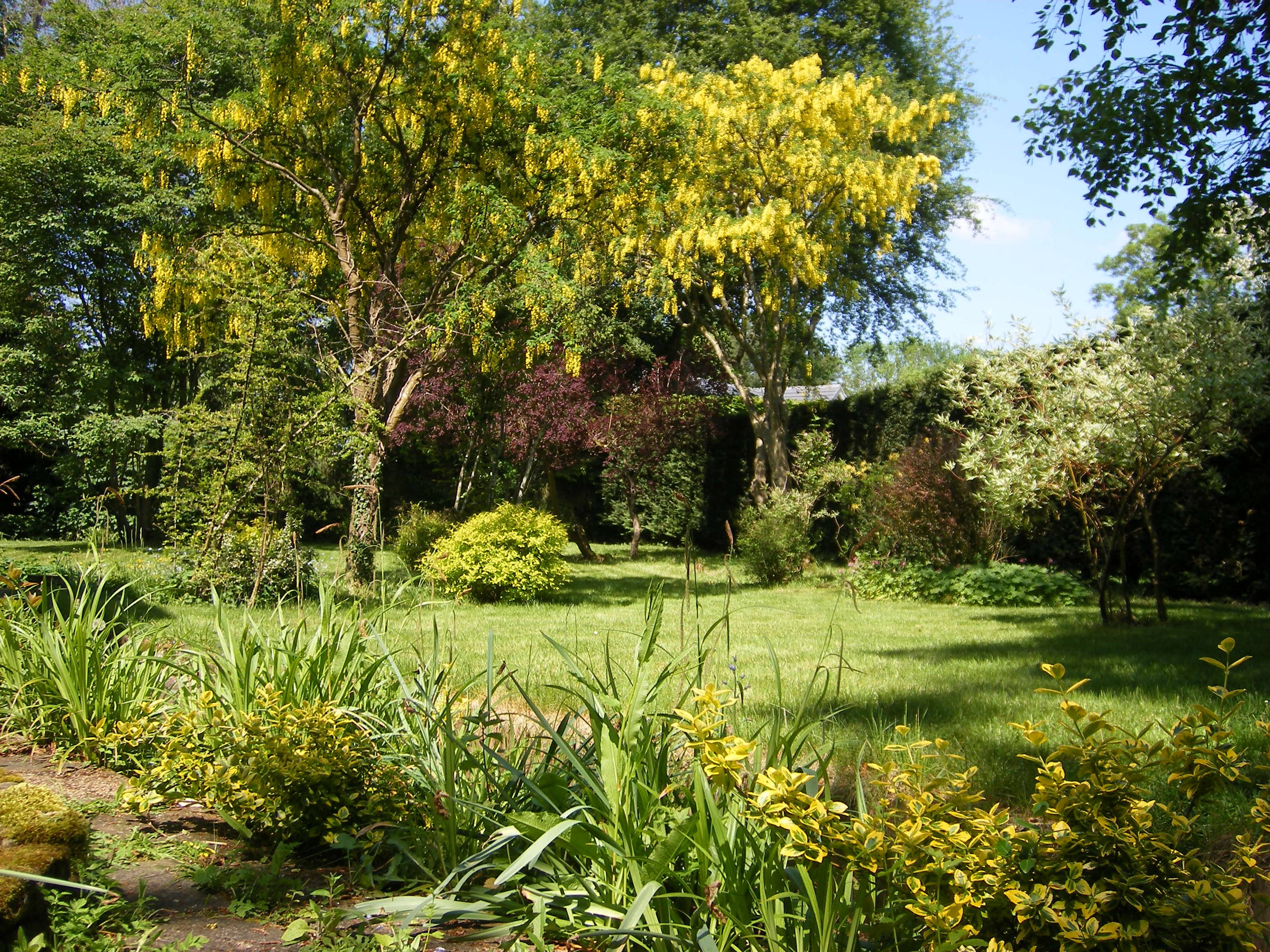 Front Garden
