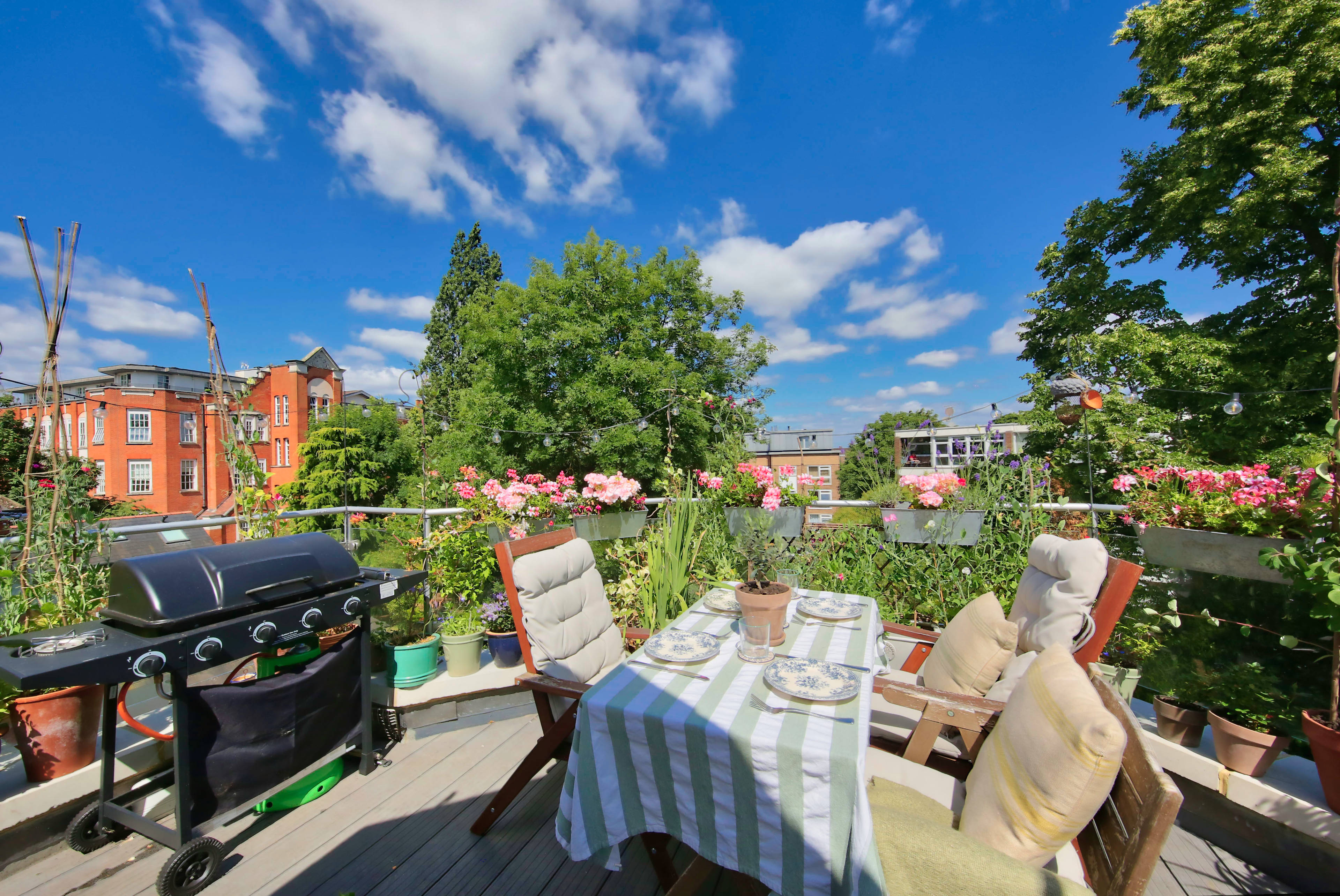Sun Terrace