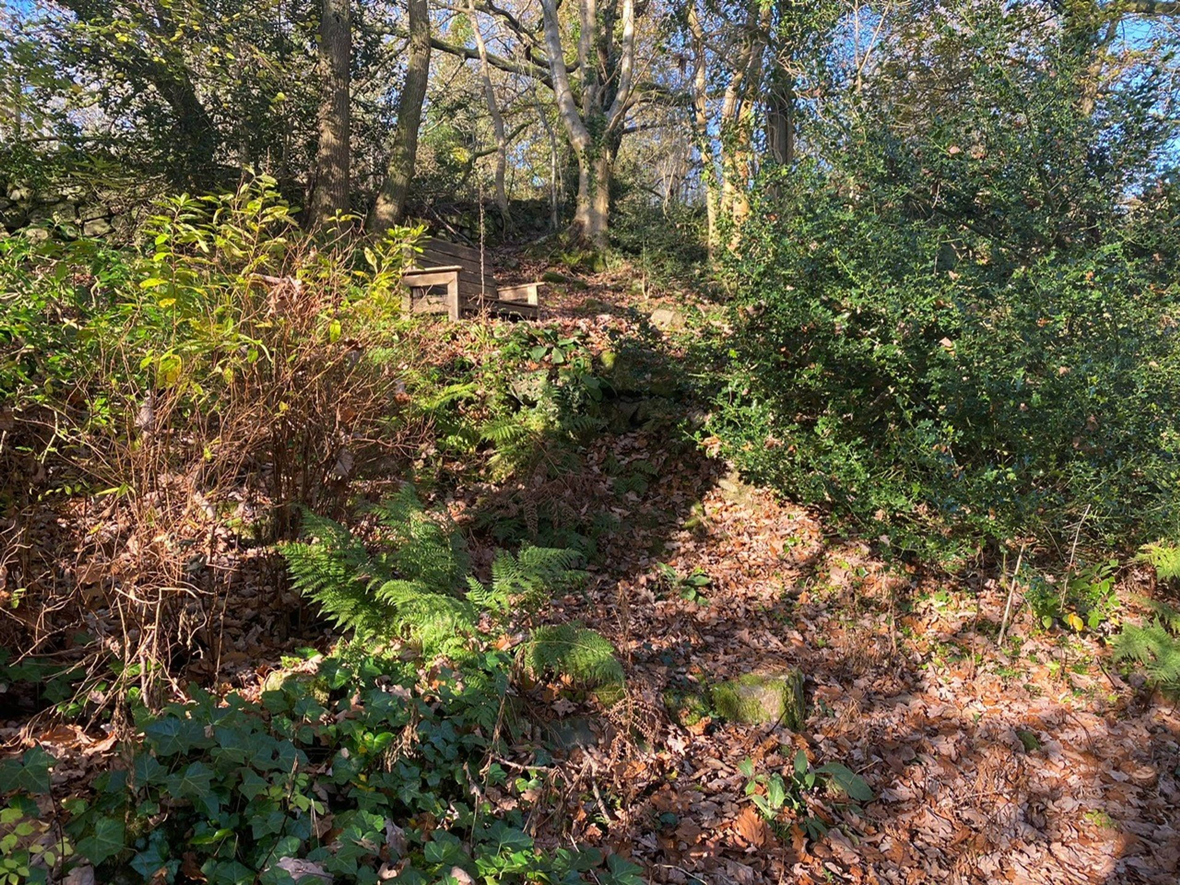 Upper Garden