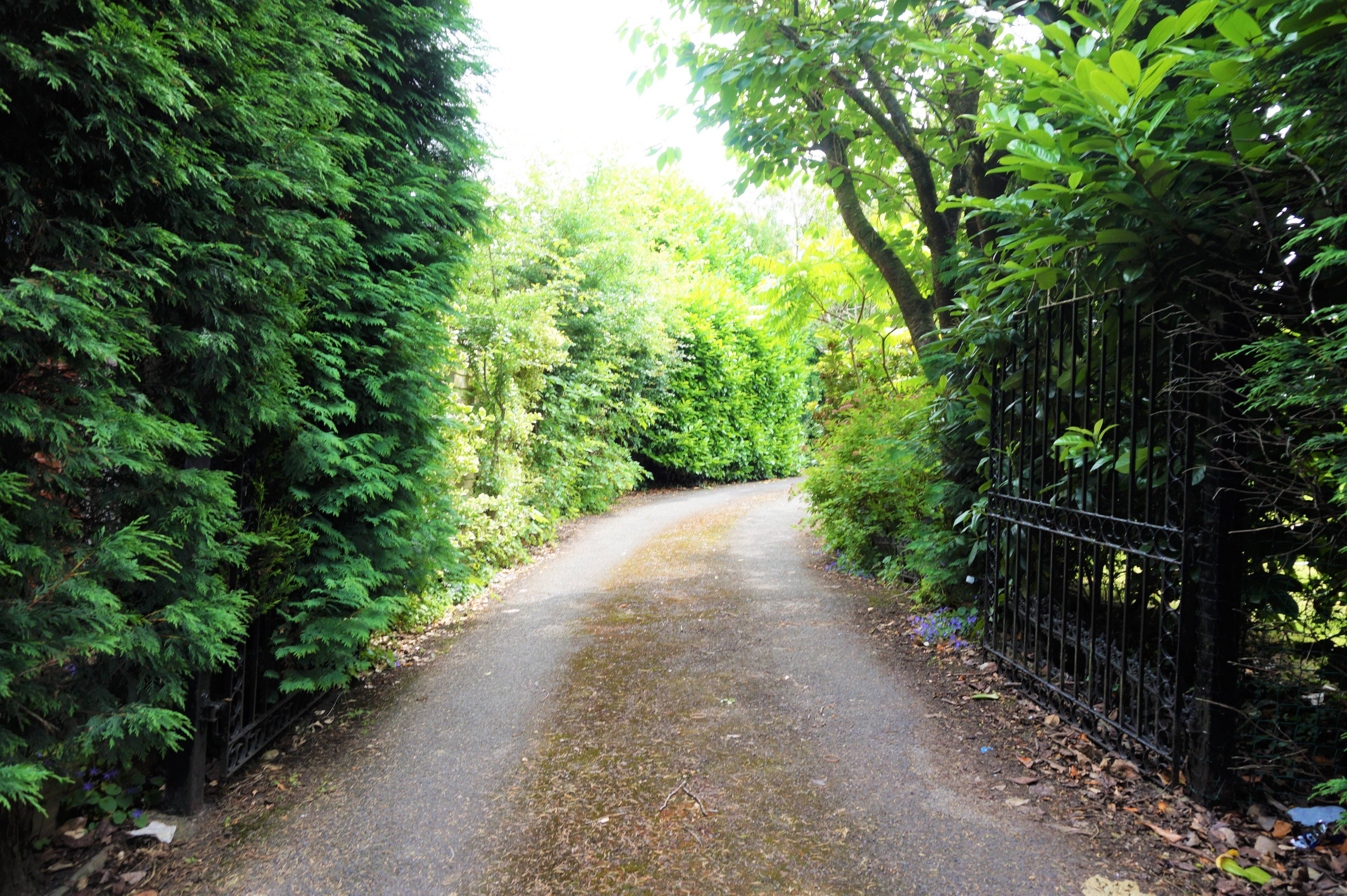 Gated Driveway