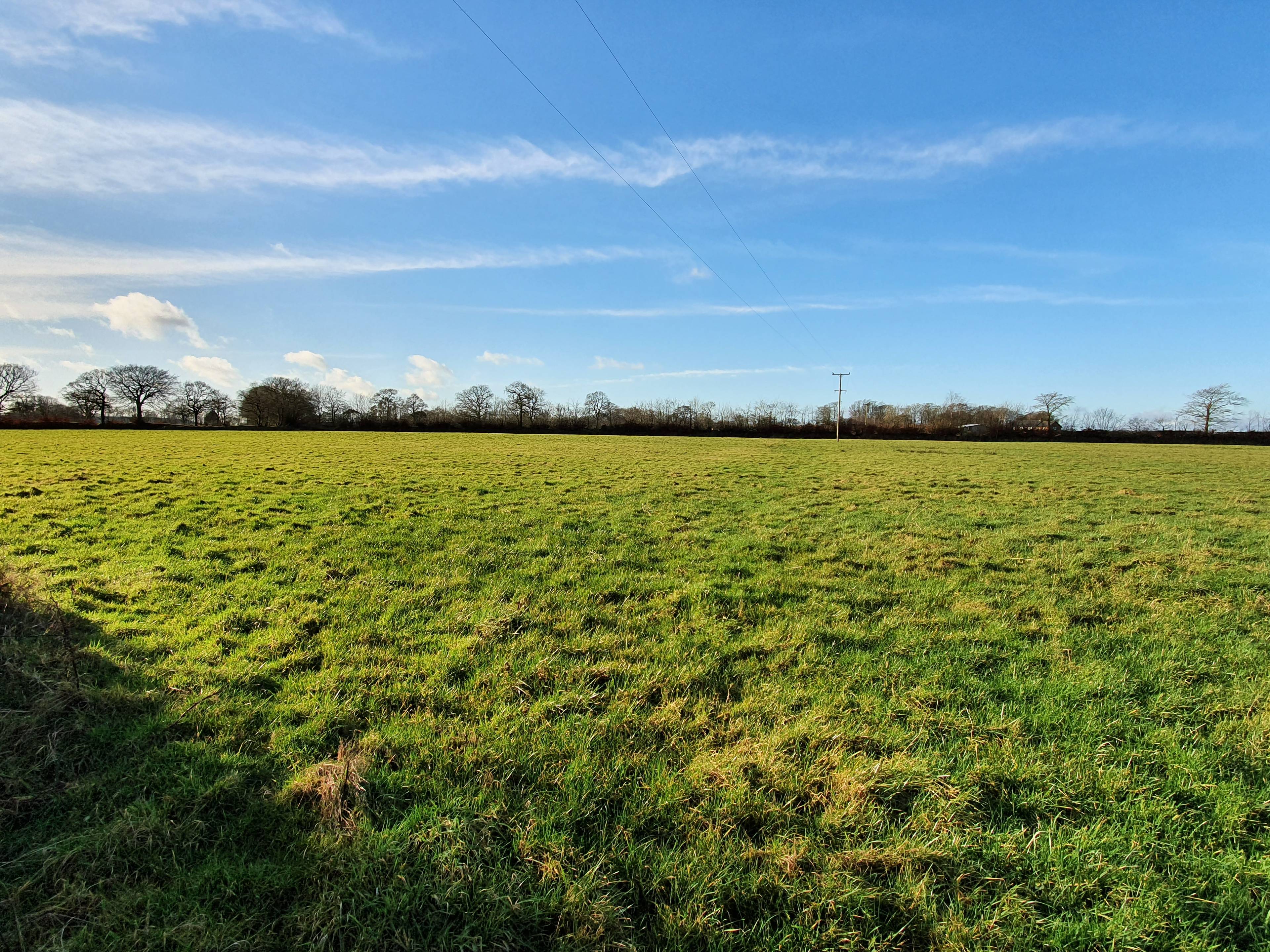 Land