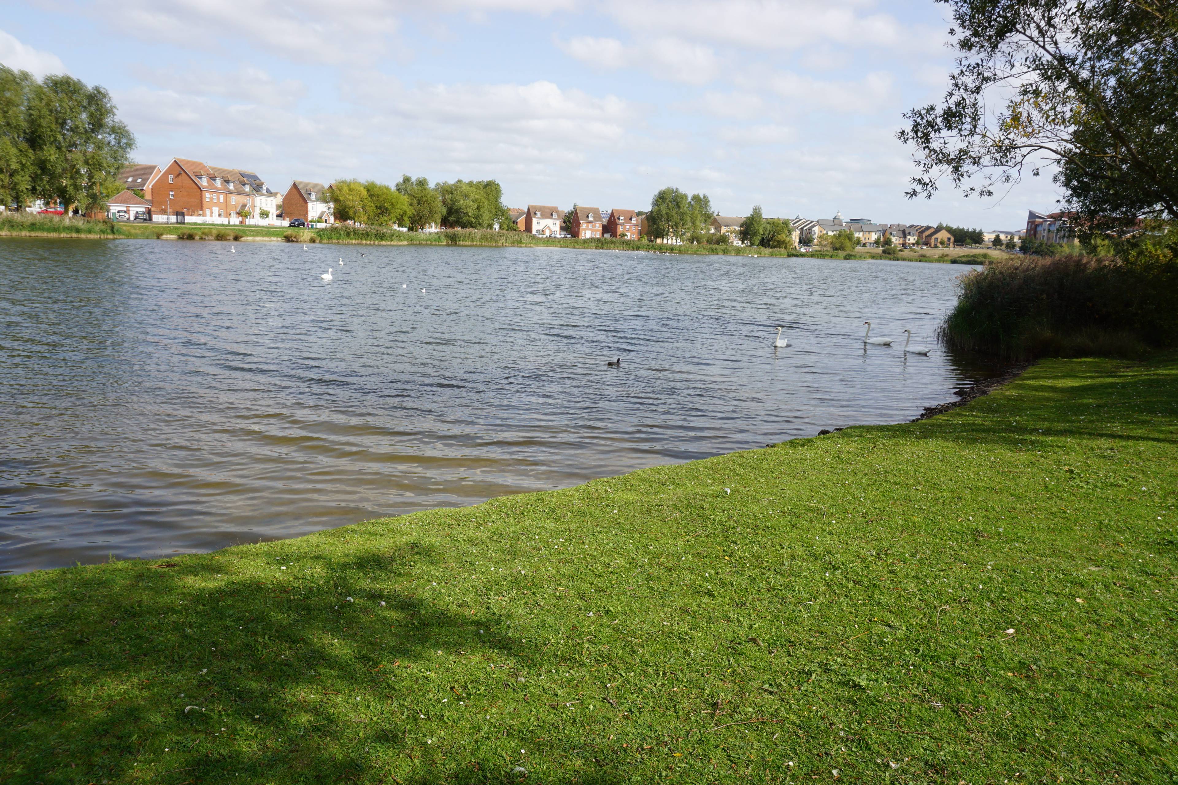 Lake