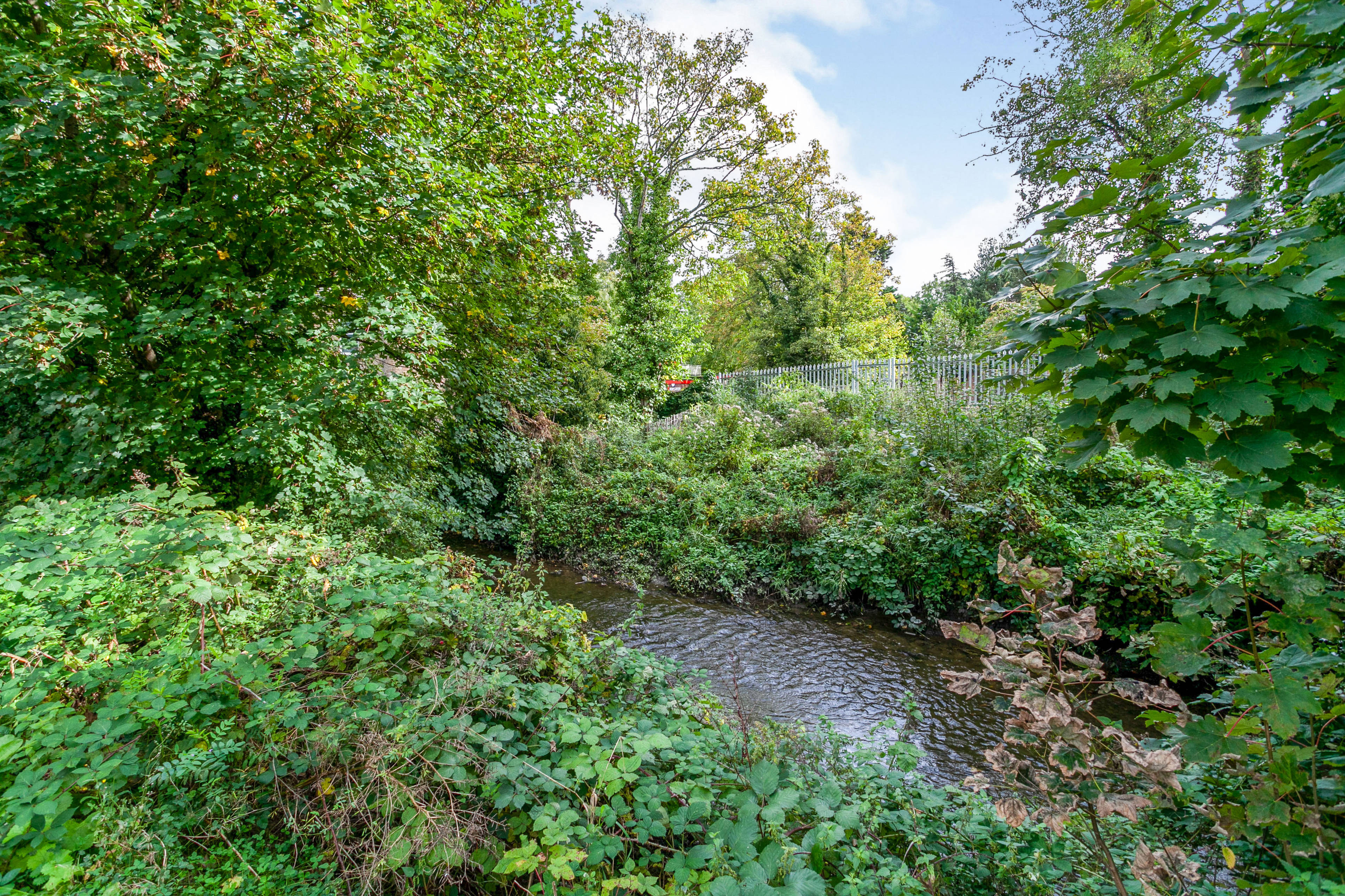 Nearby River