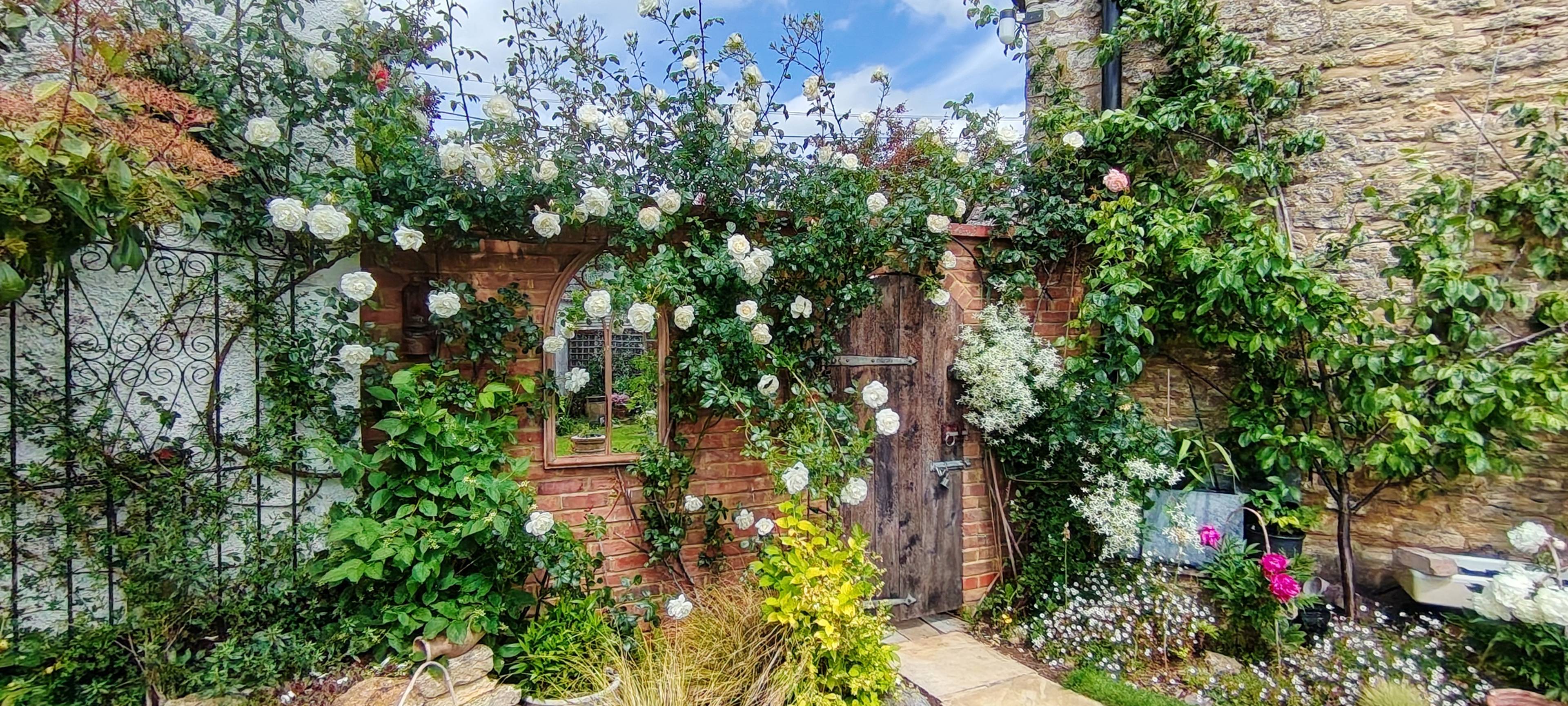 Cottage Garden