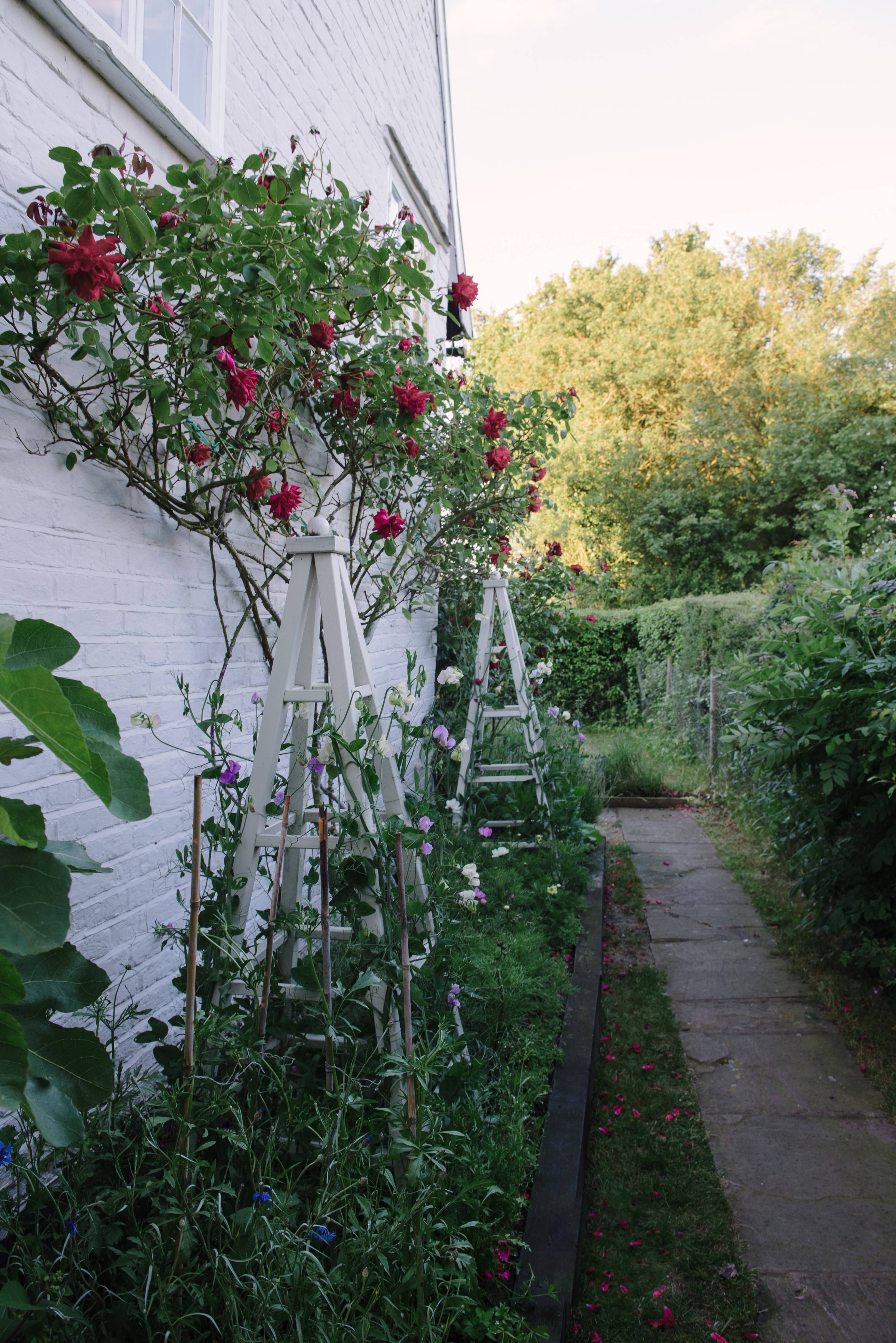 Side Garden