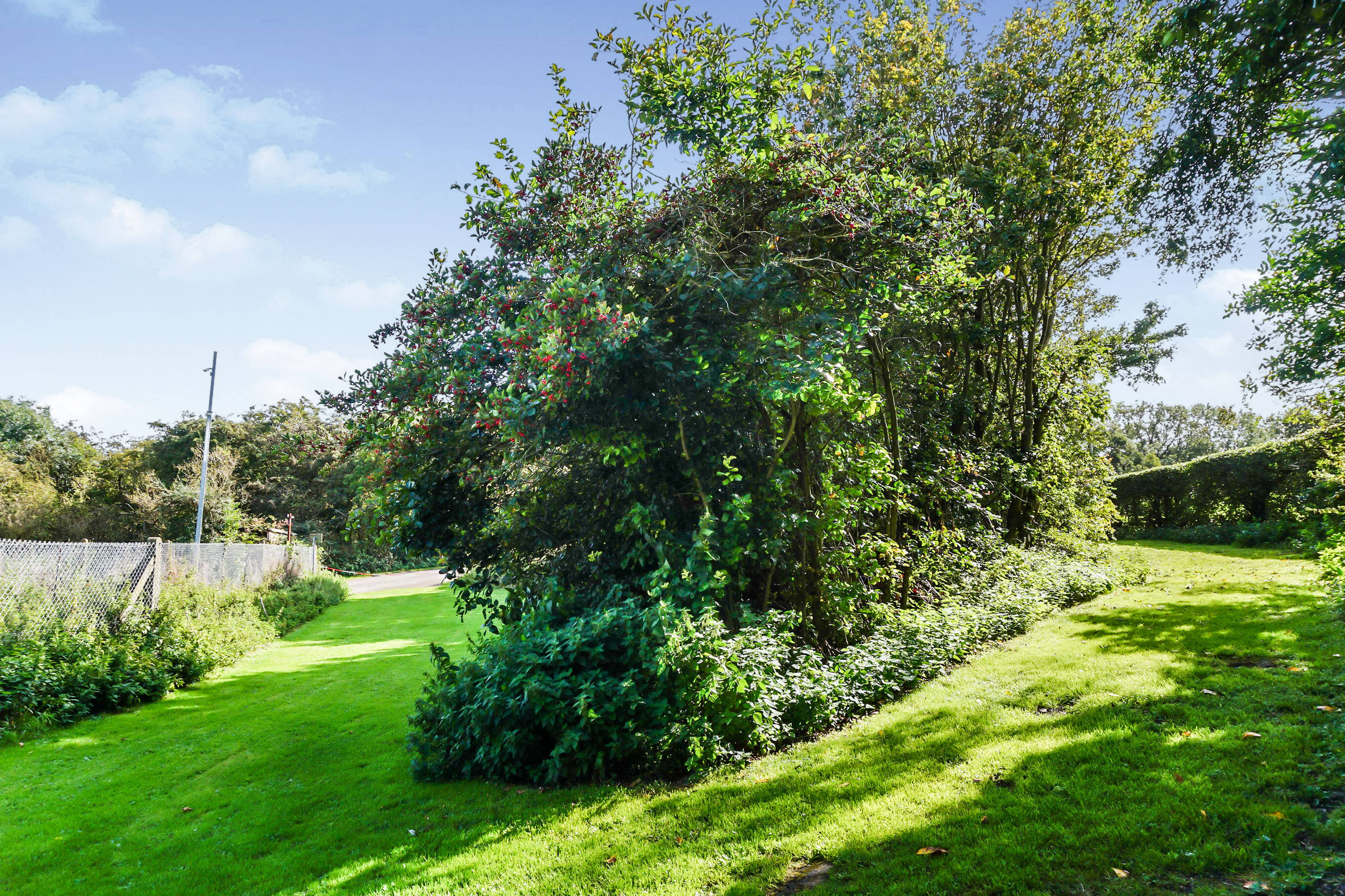 Side Garden