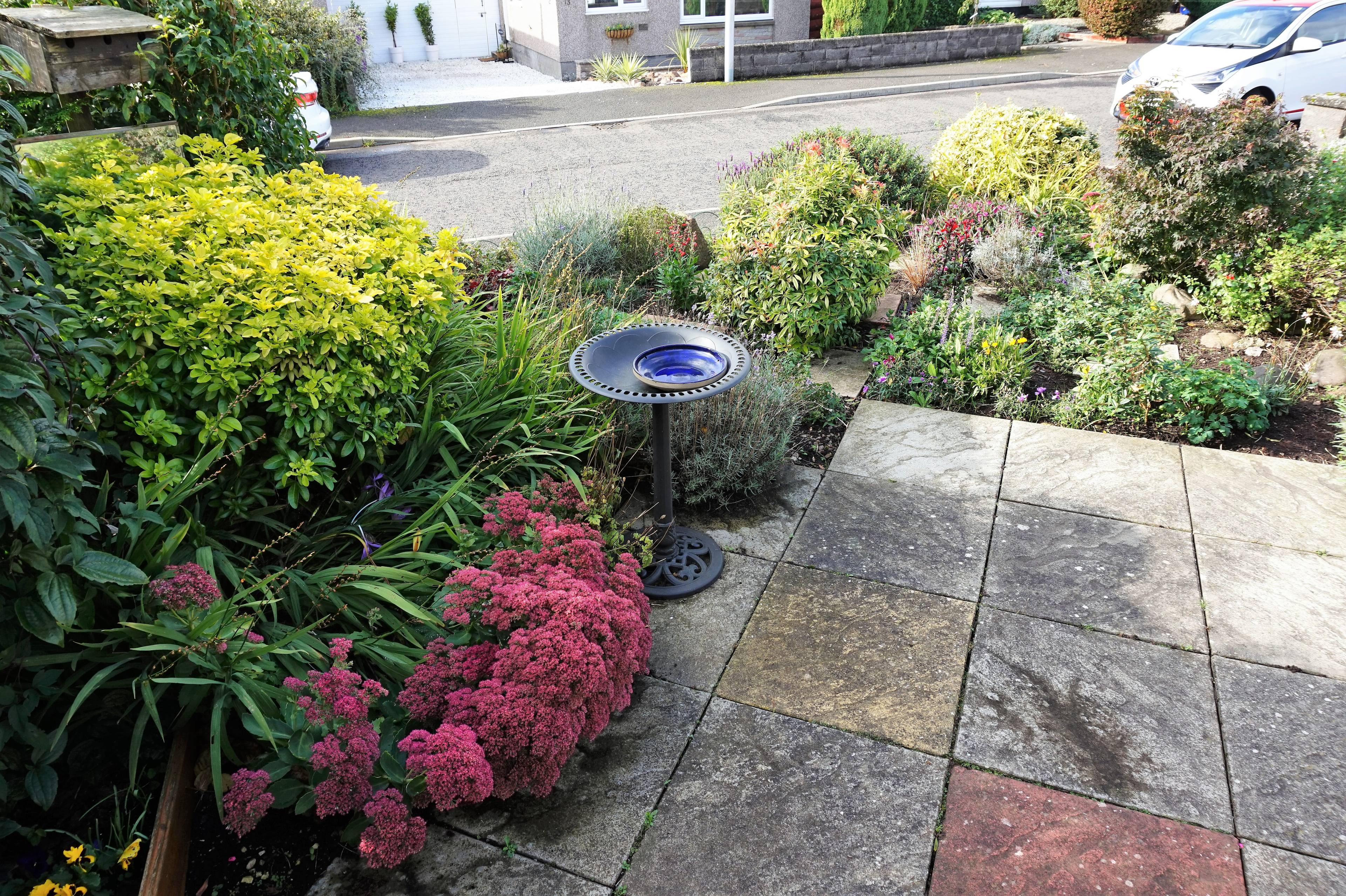 Front Garden