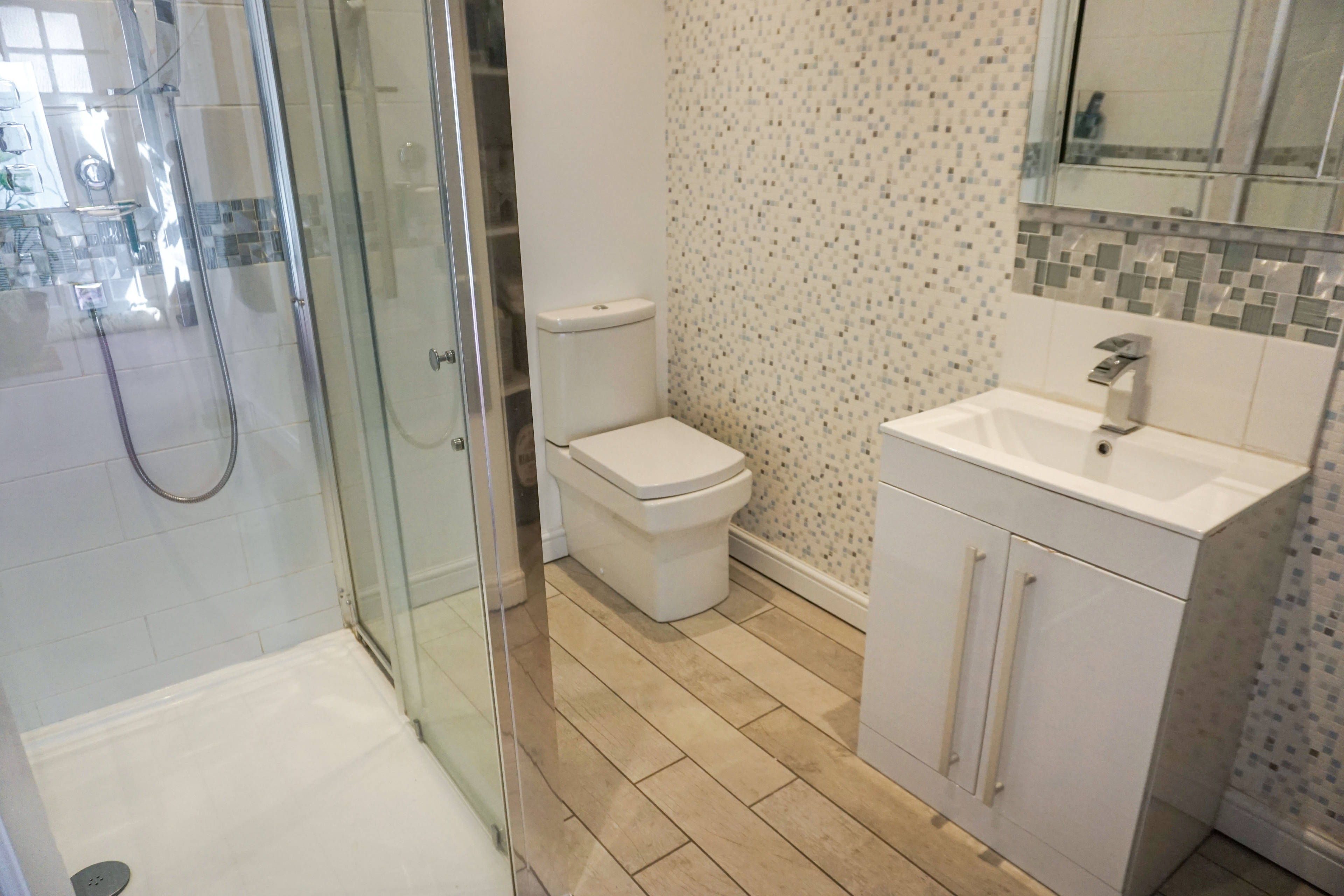 Downstairs Shower