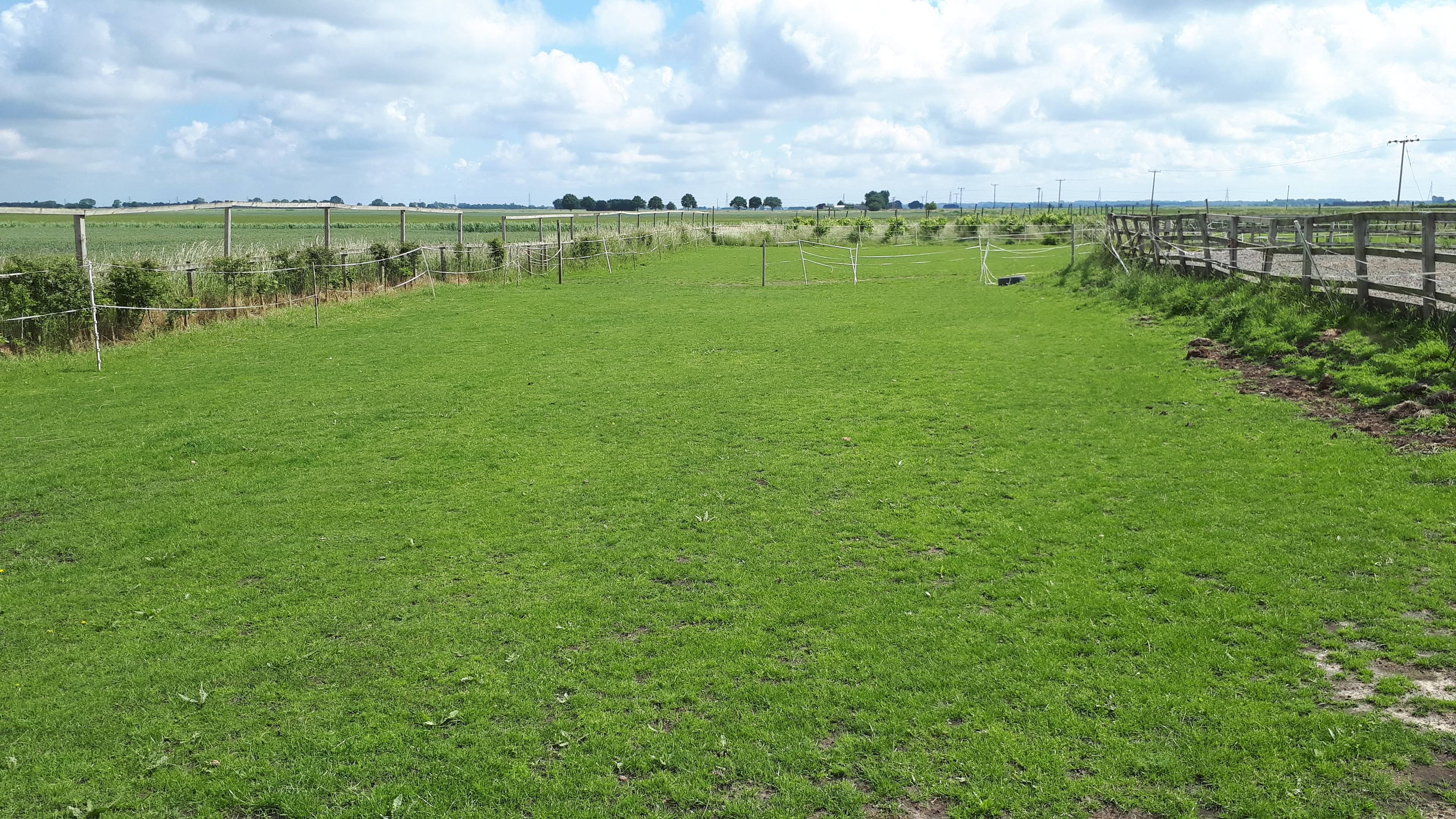 Paddock