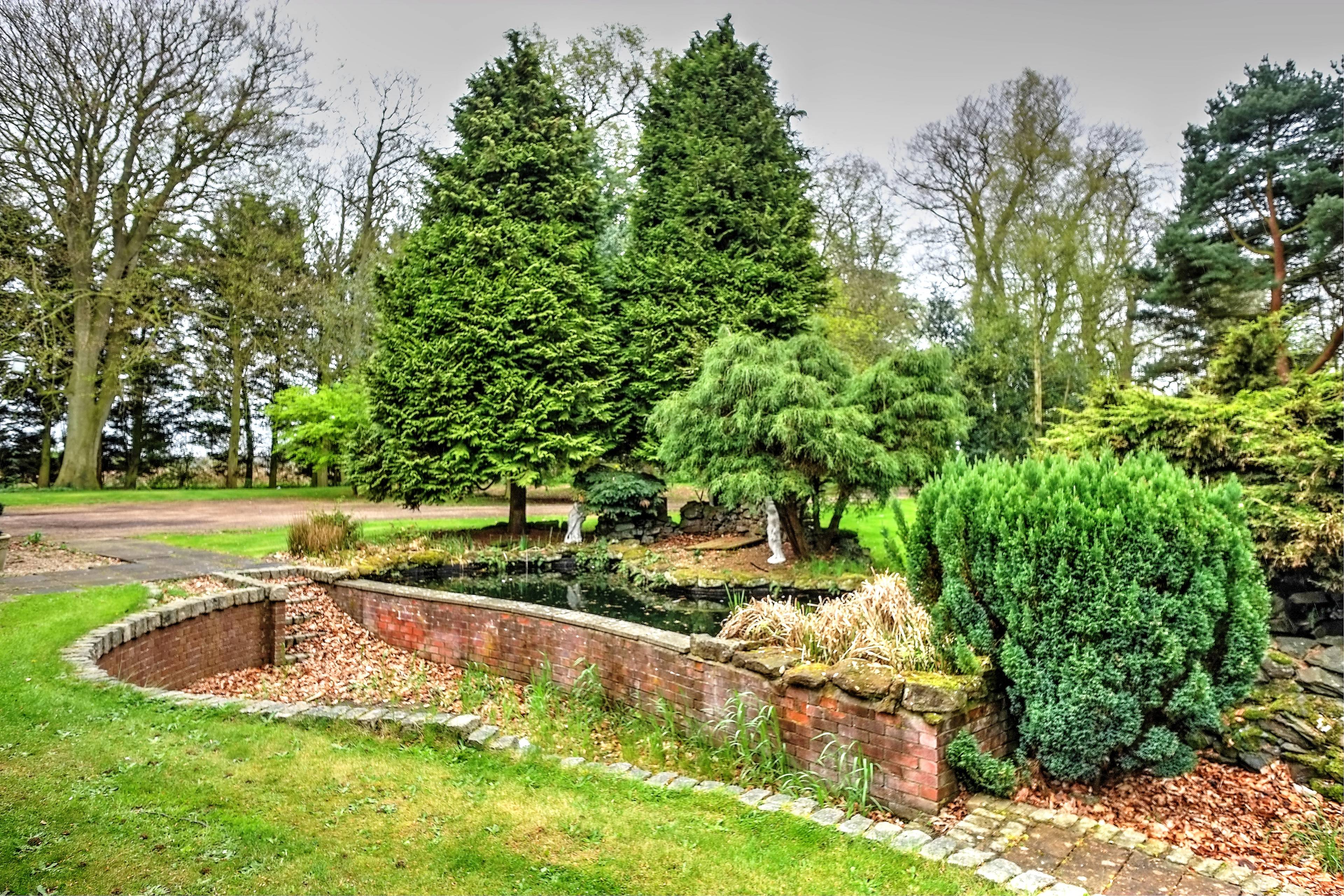 Grounds
