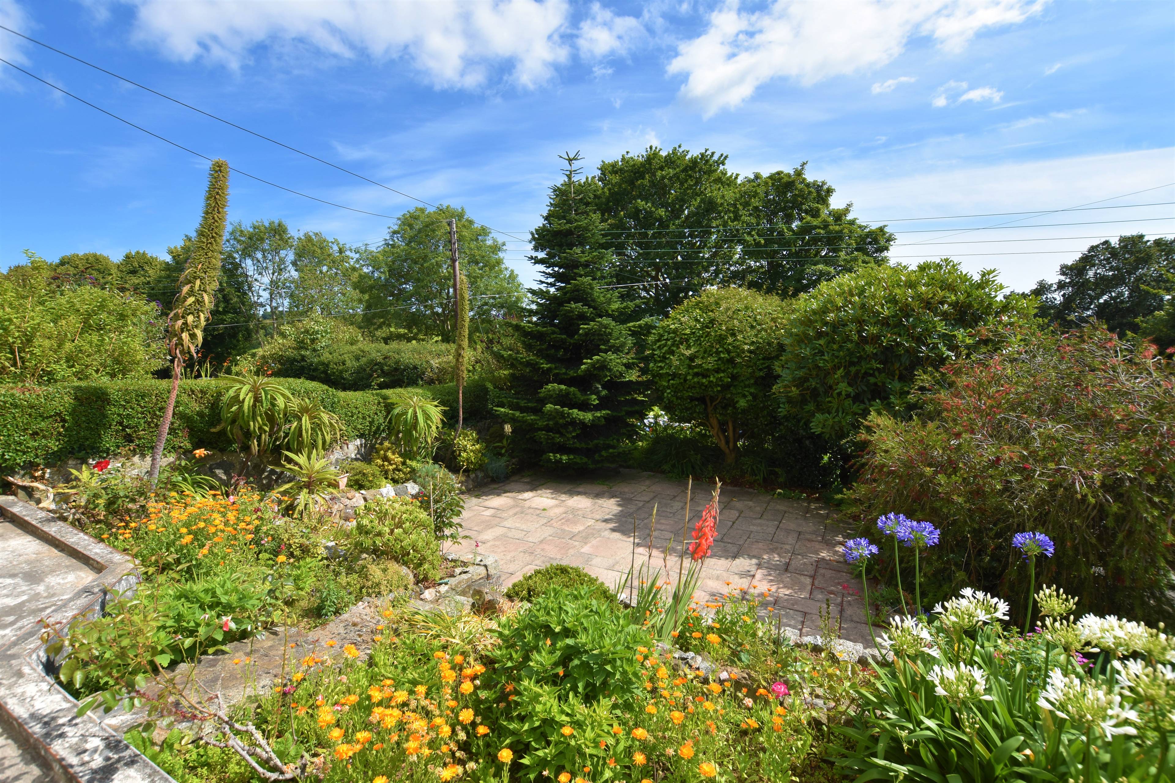 Front Garden