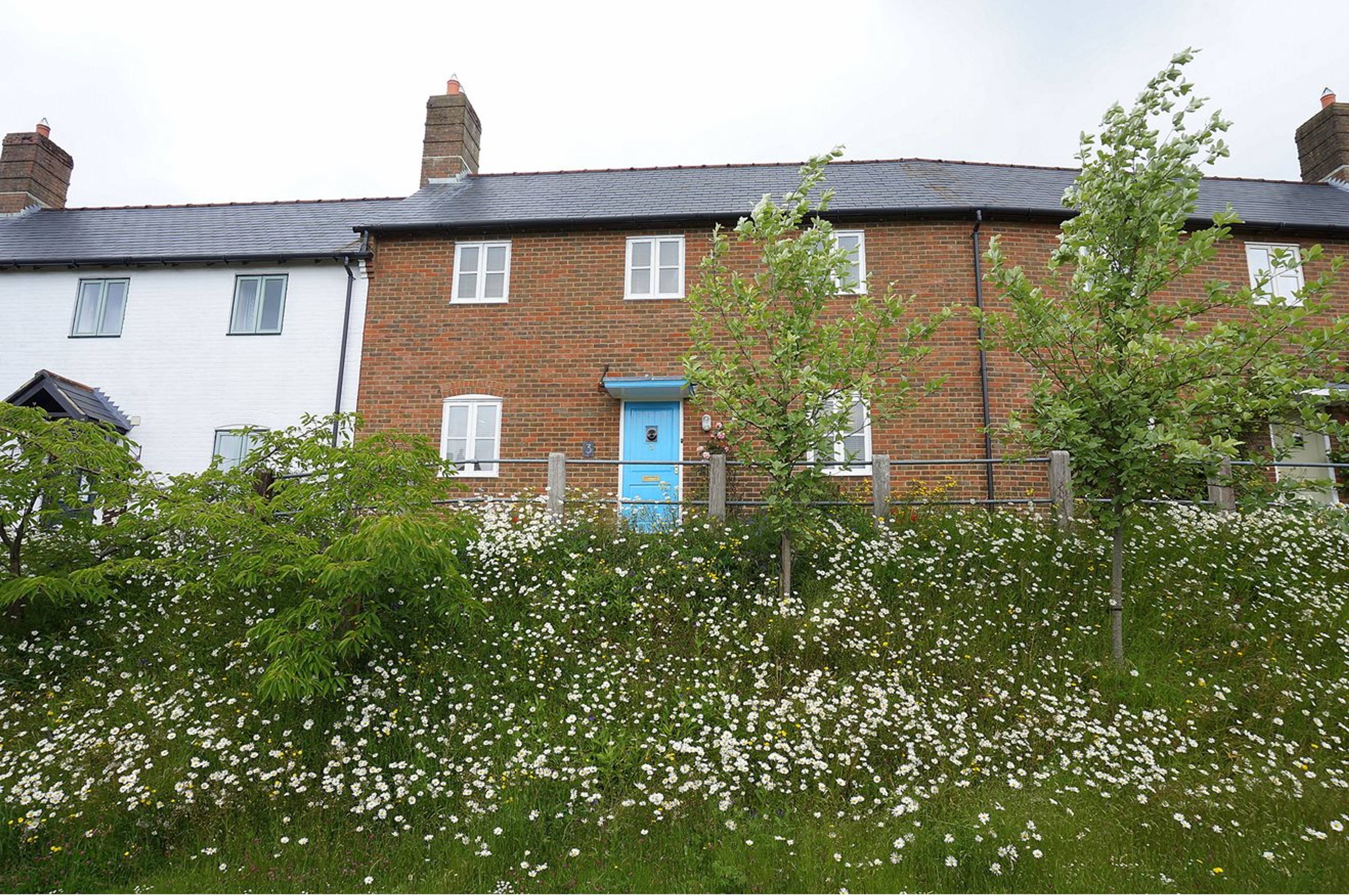 The Property