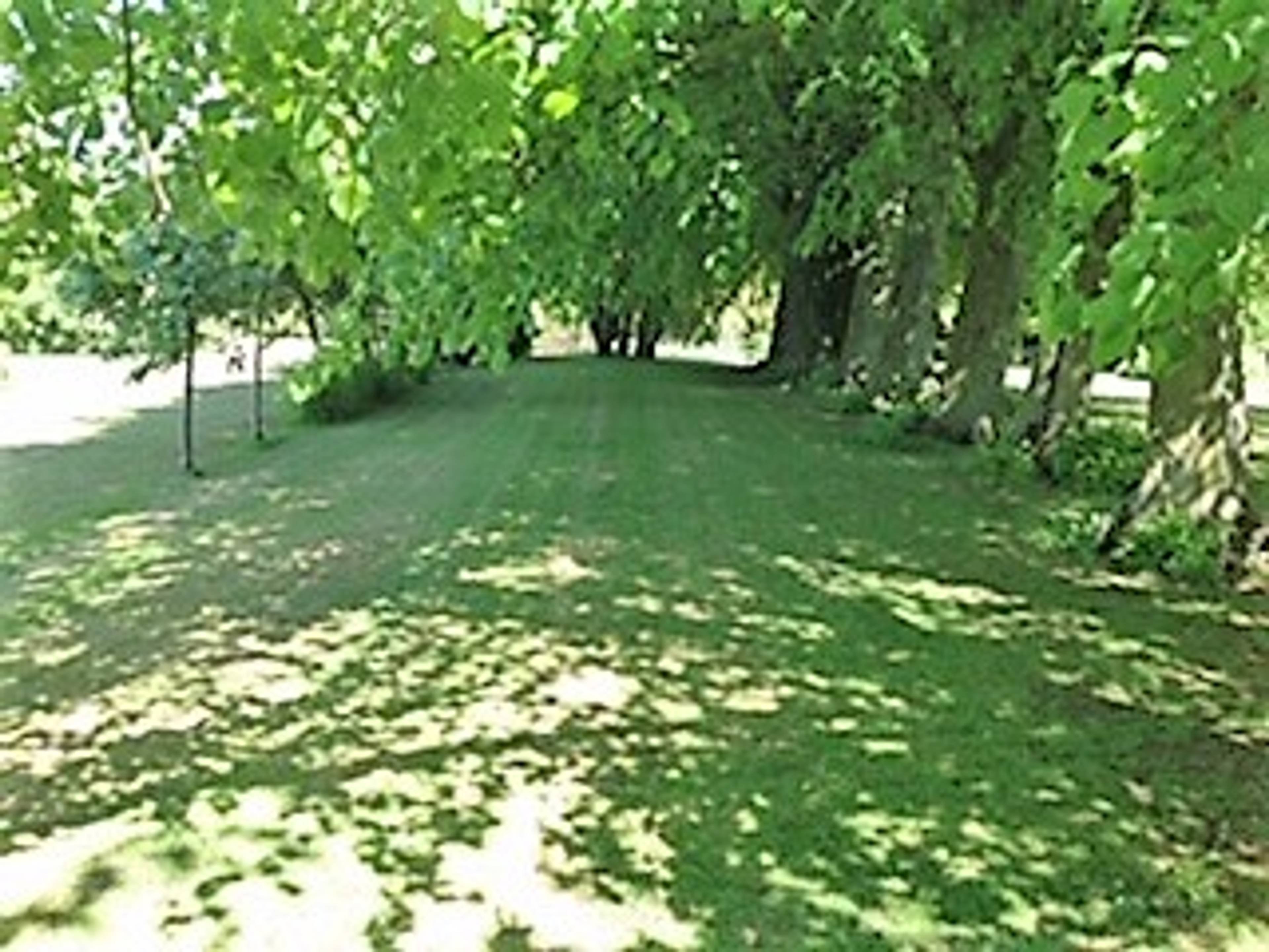 Grounds