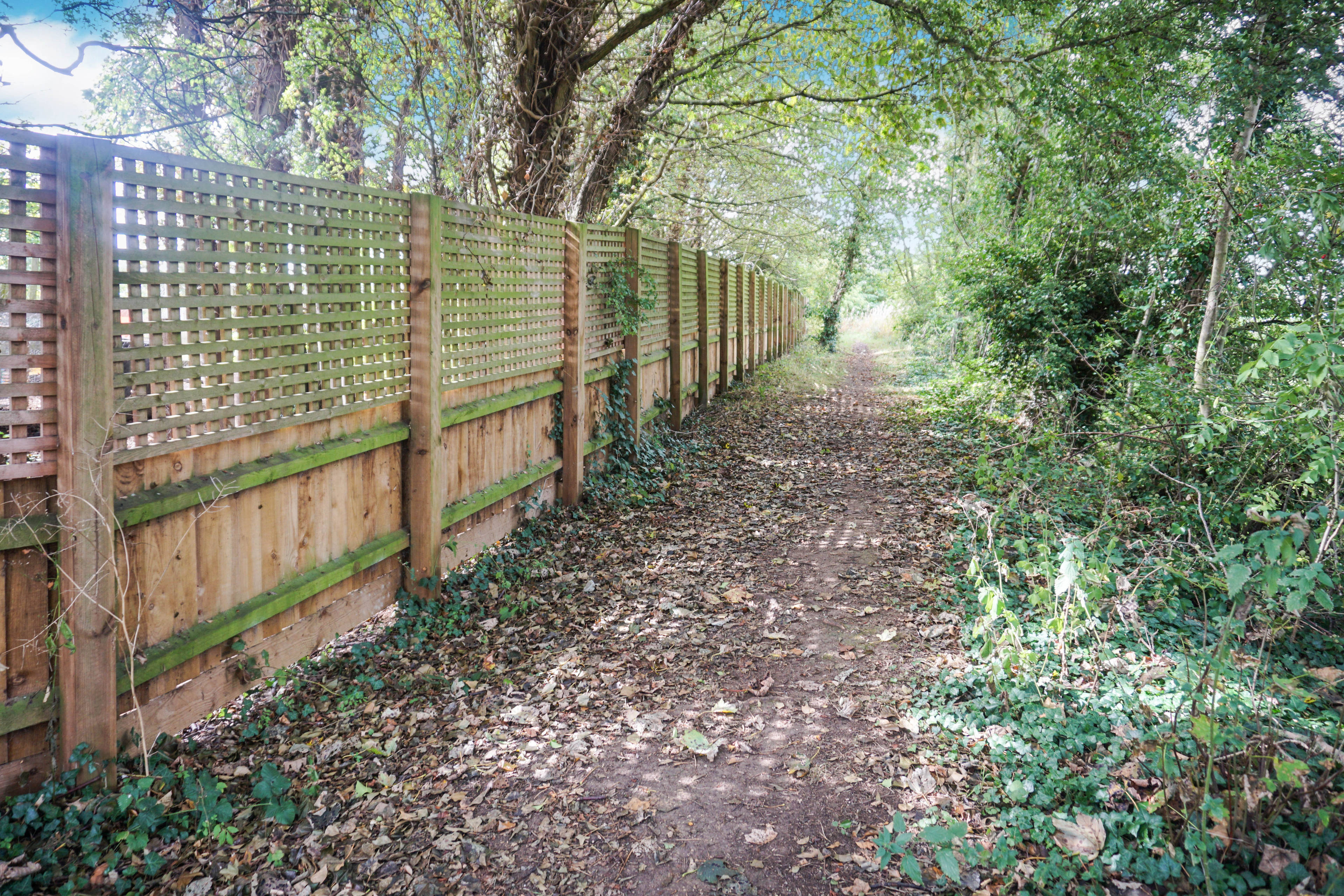 Mature Garden