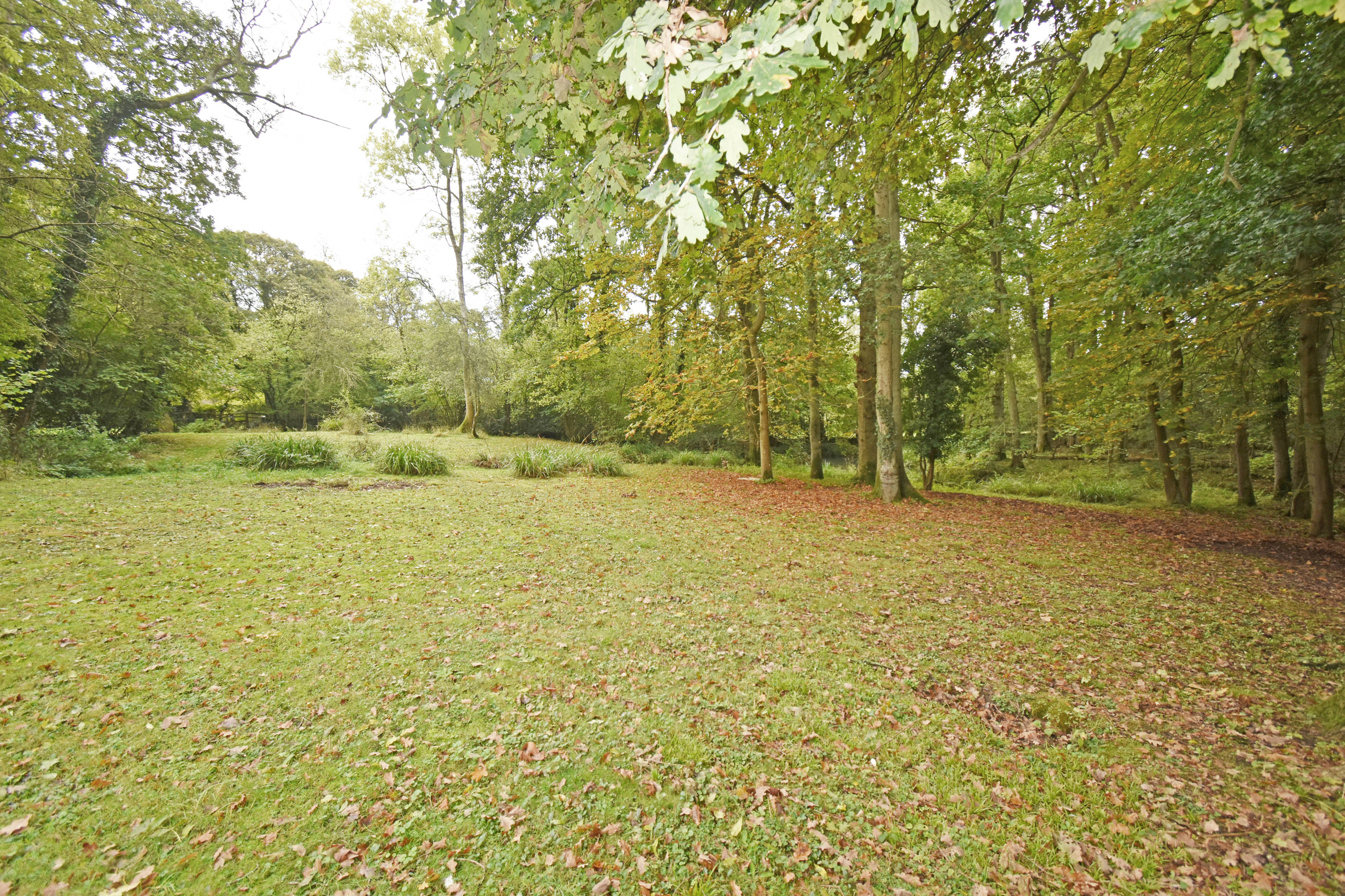 Grounds