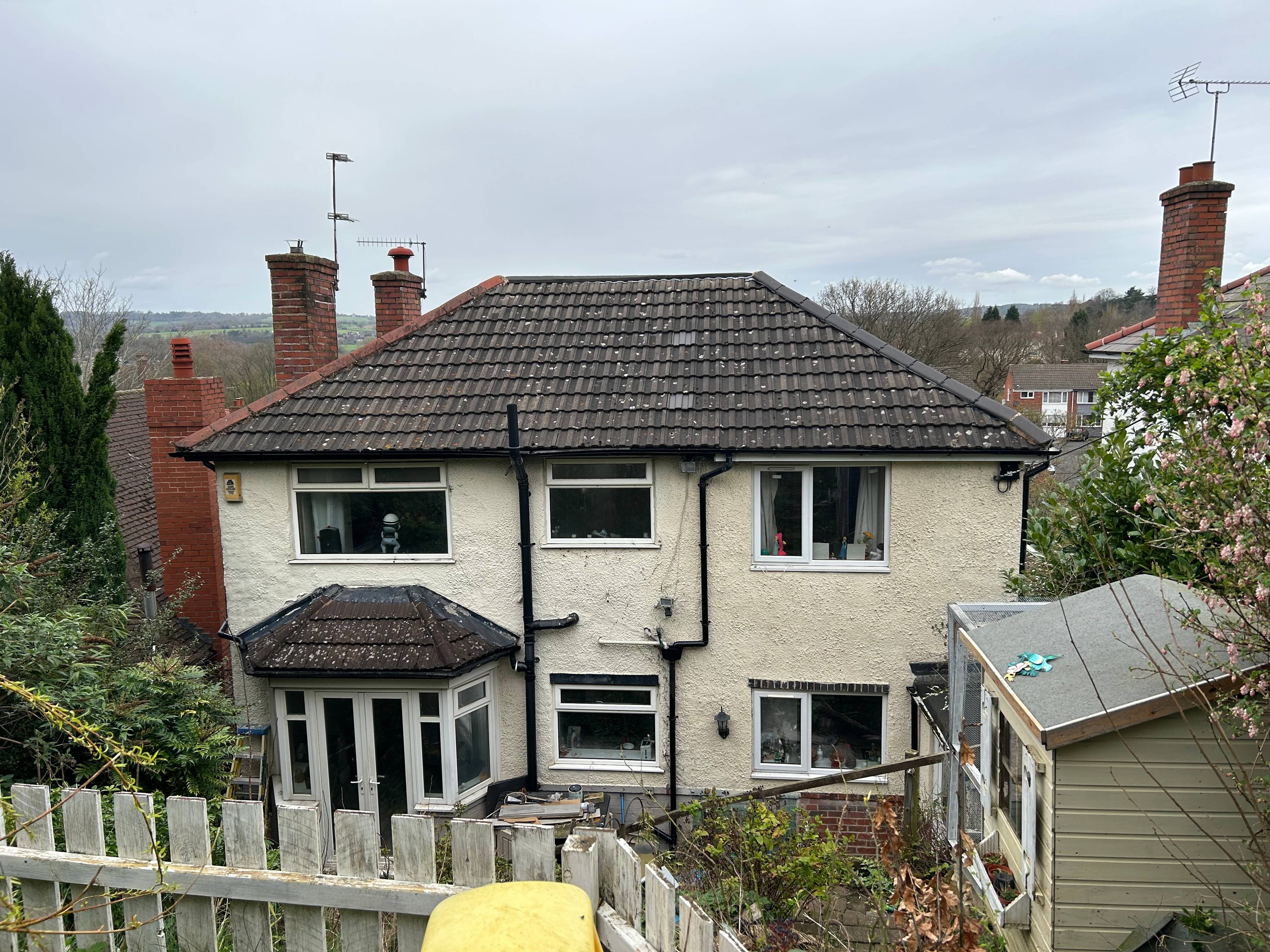 Rear View