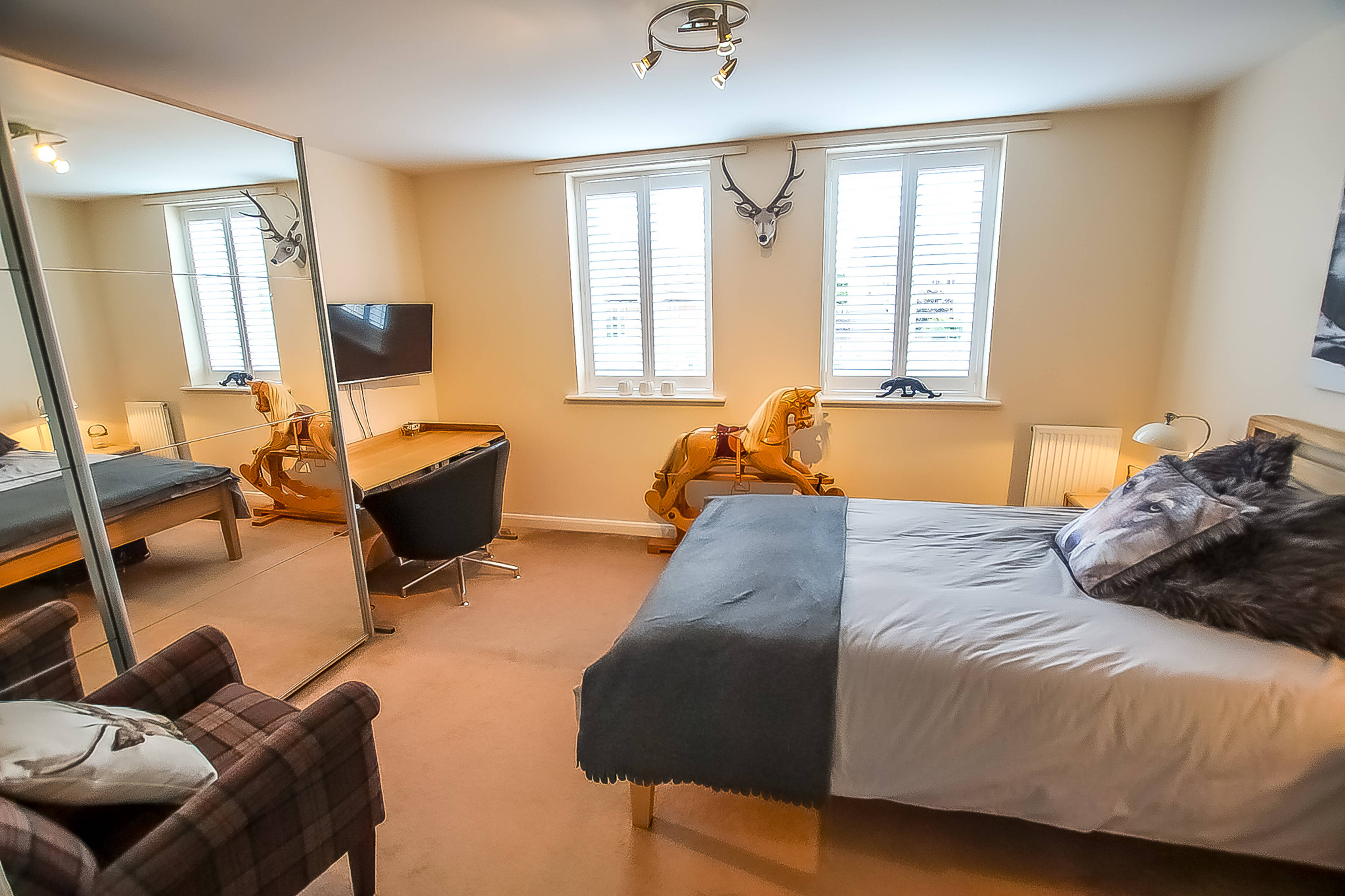 Living Room/Bedroom