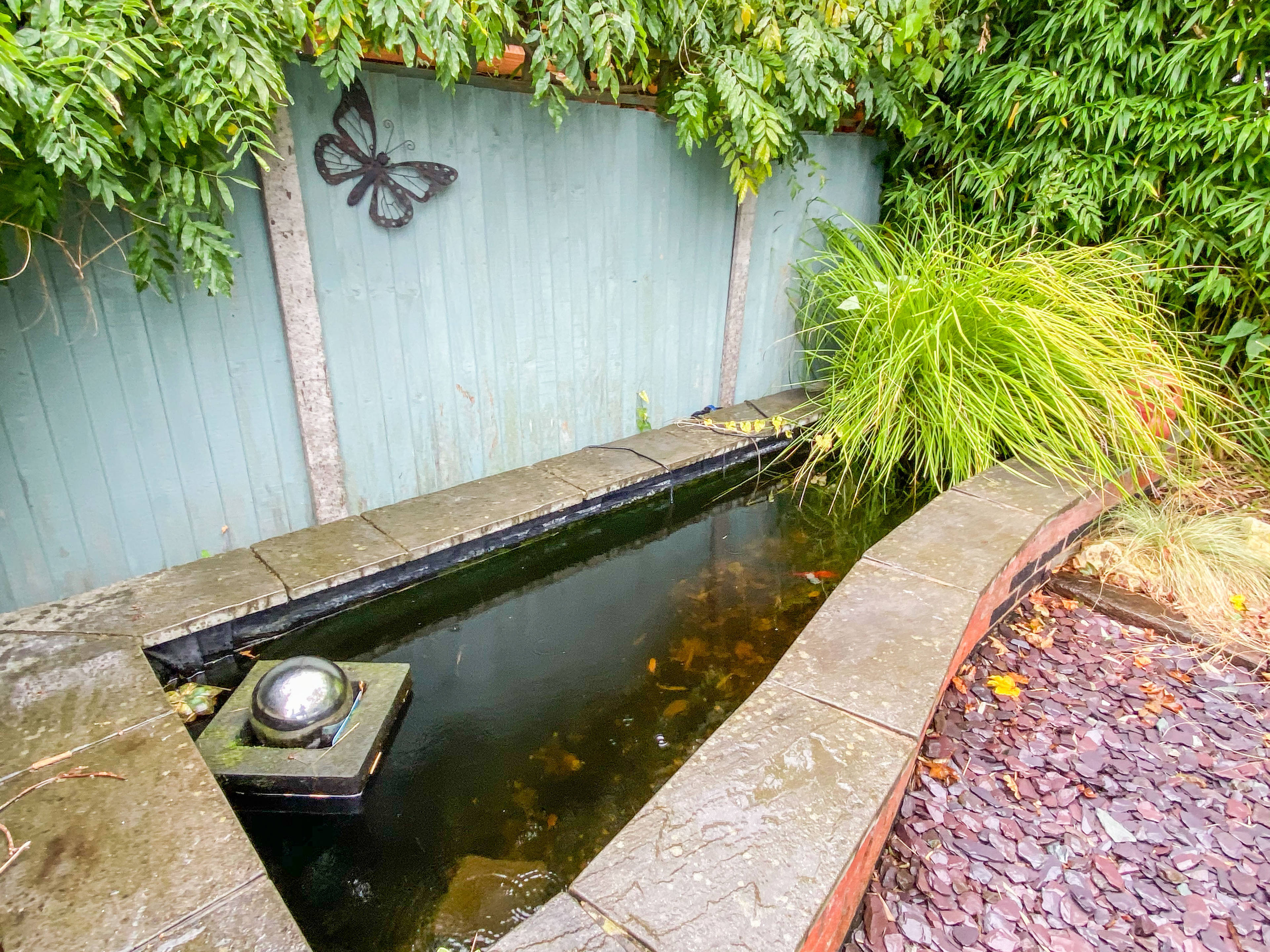 Pond