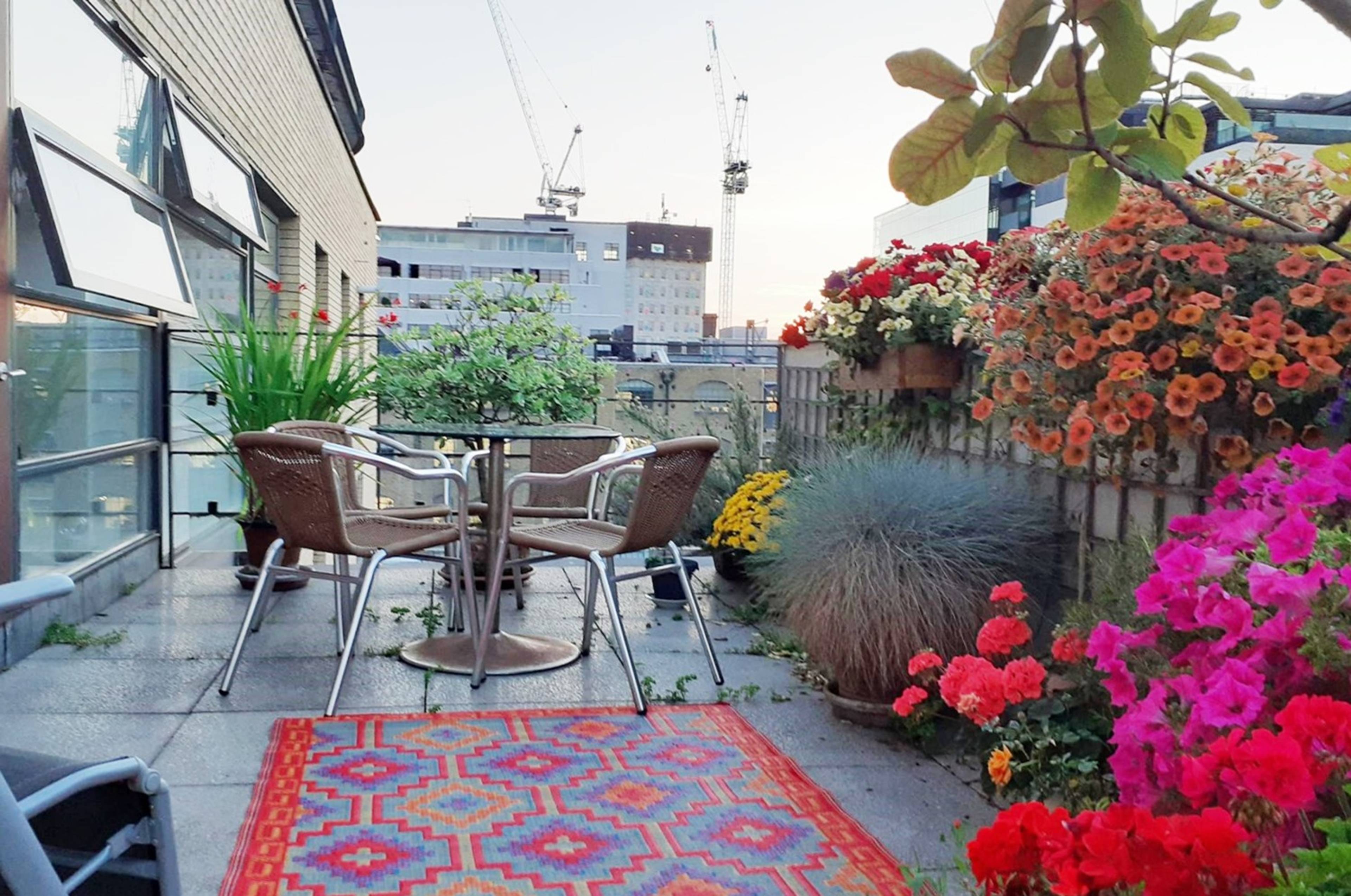 Roof Terrace