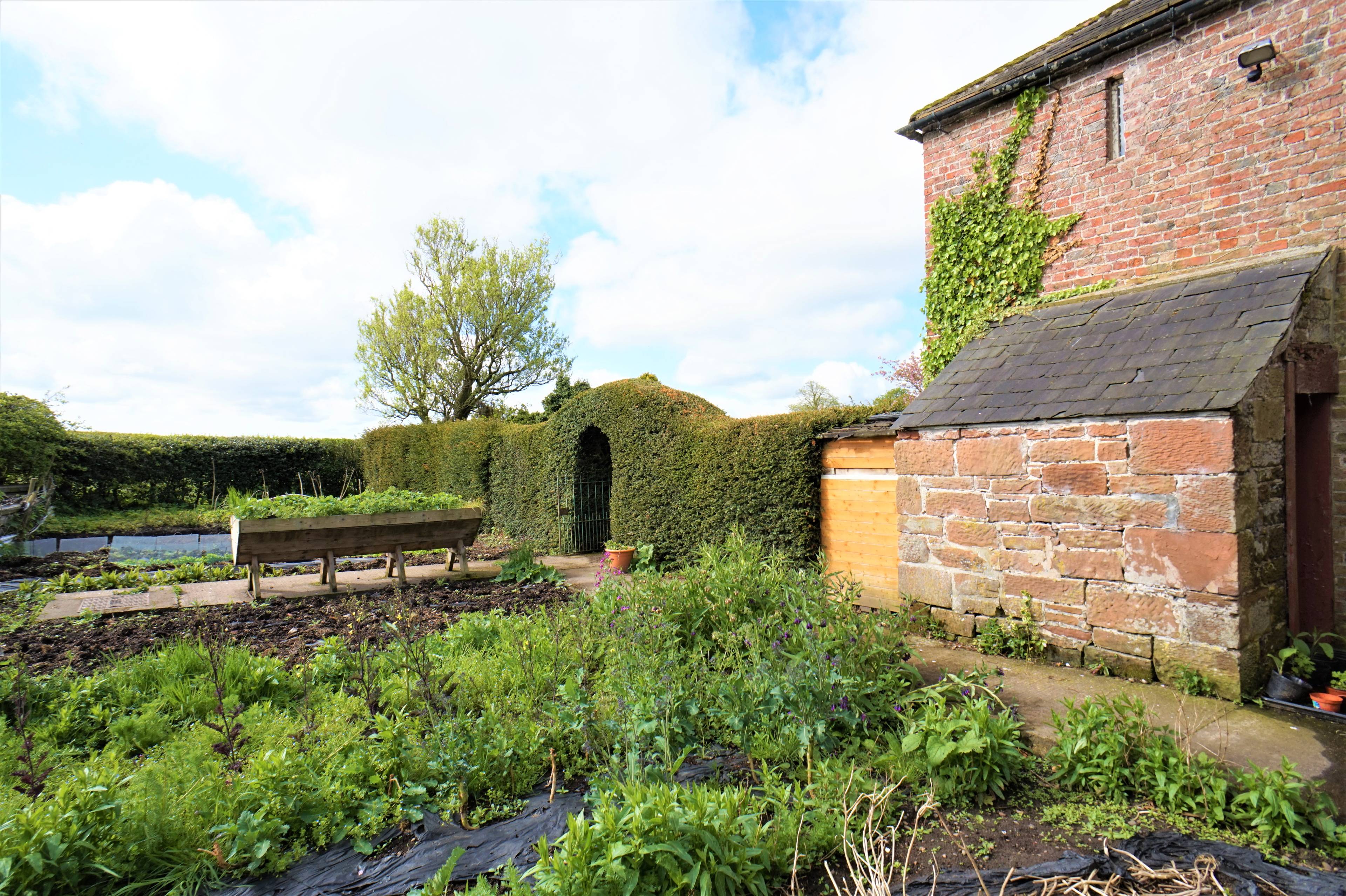Orchard