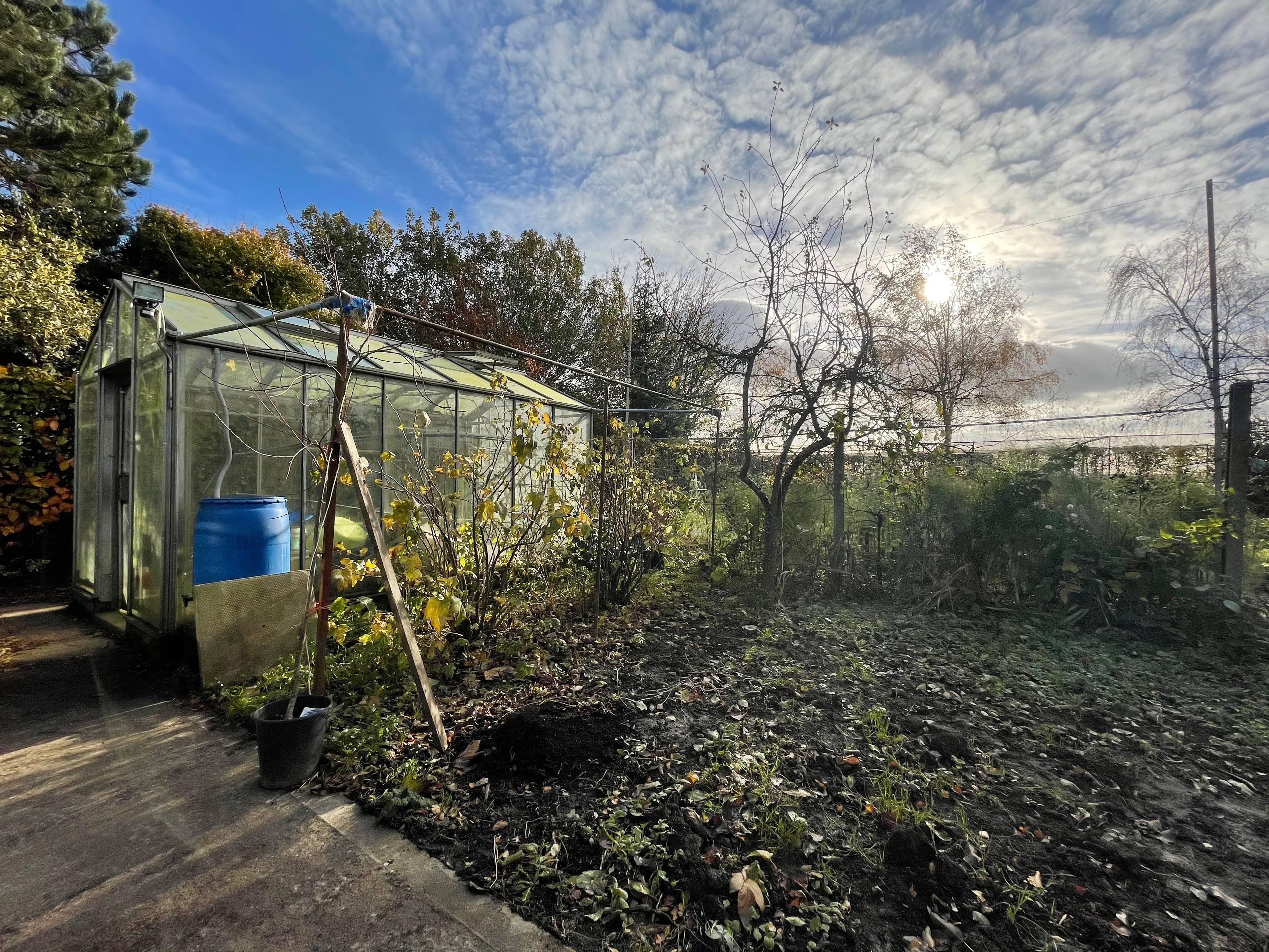 Site Rear