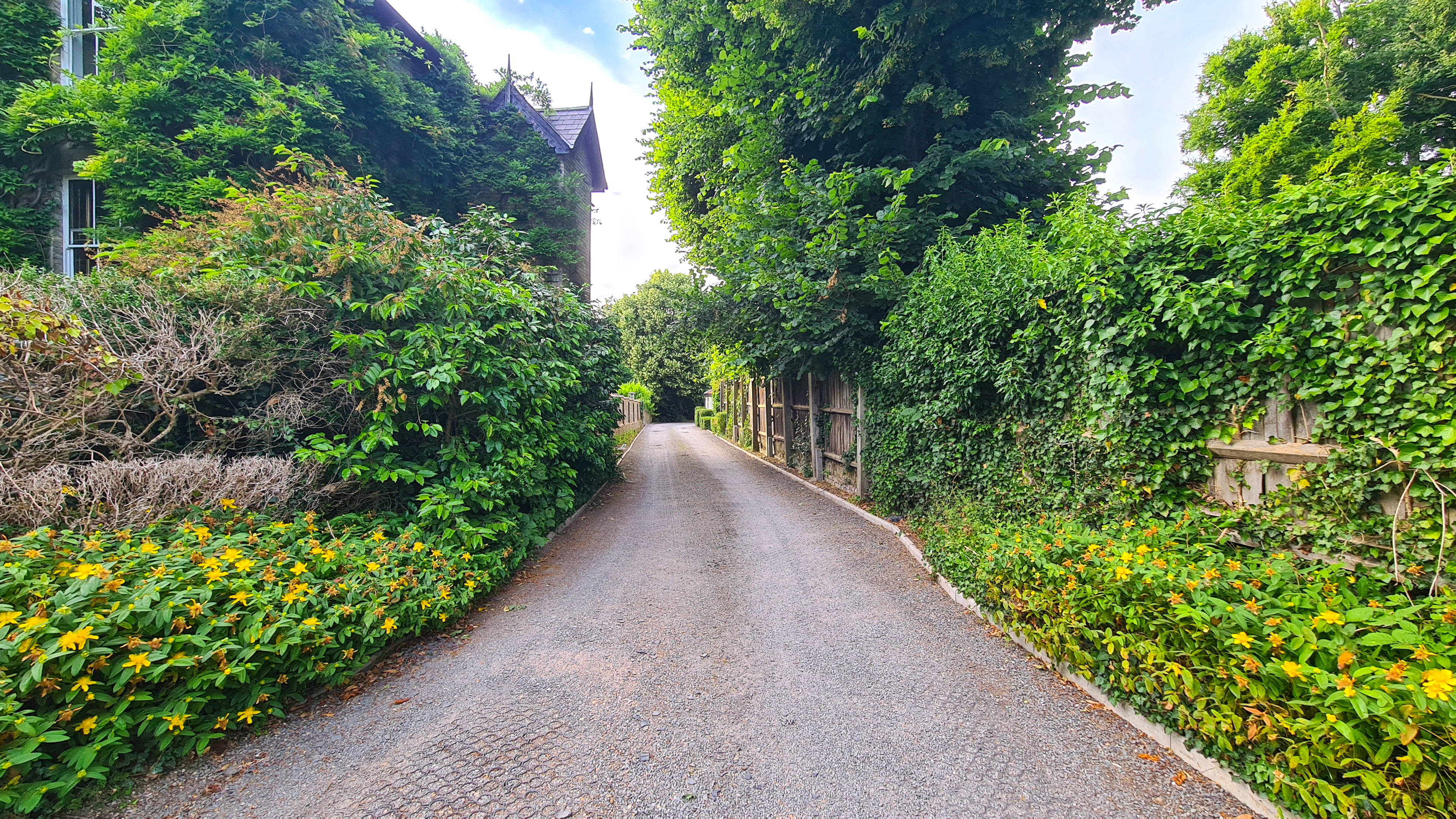 Driveway