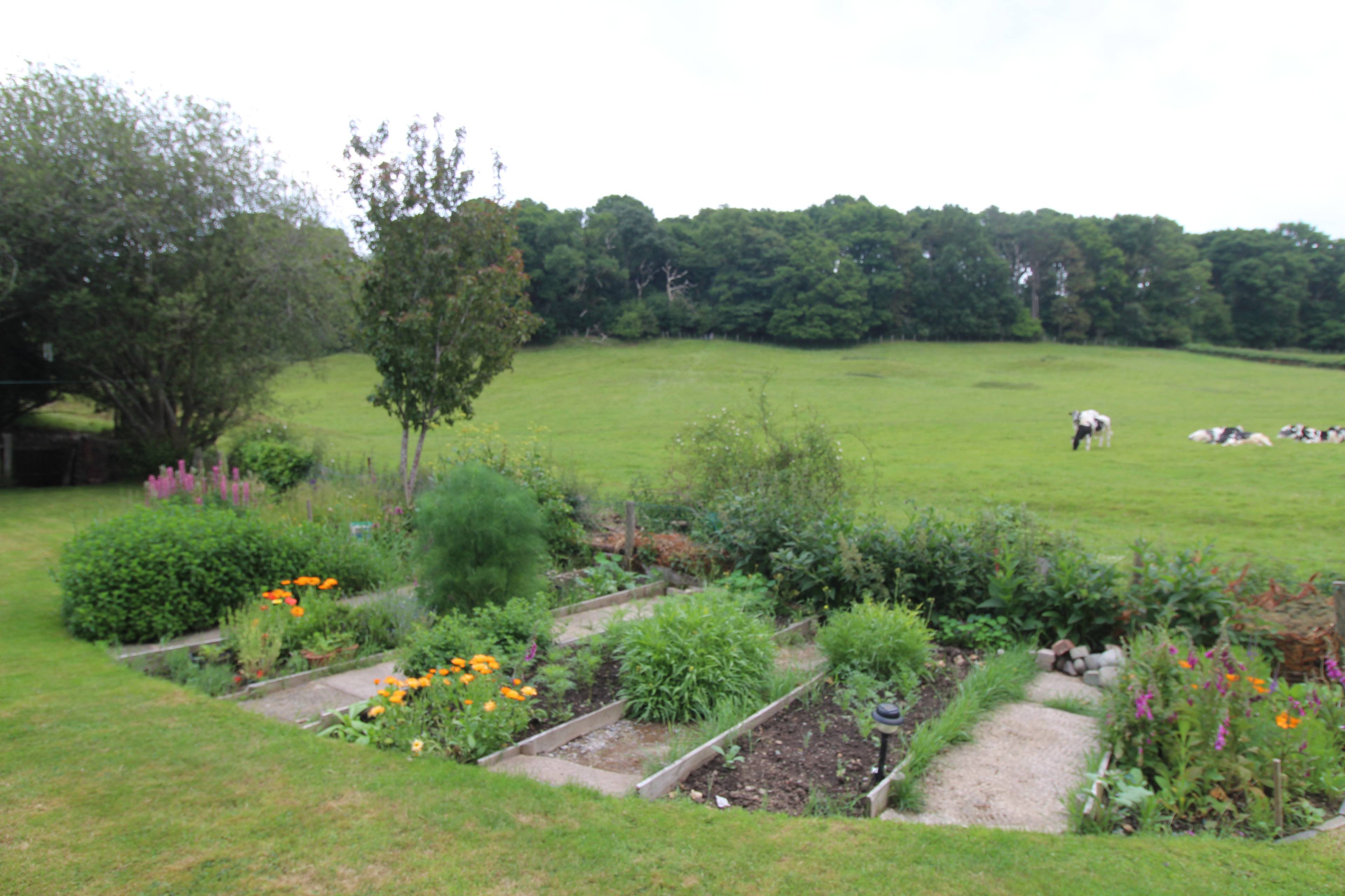 Side Garden