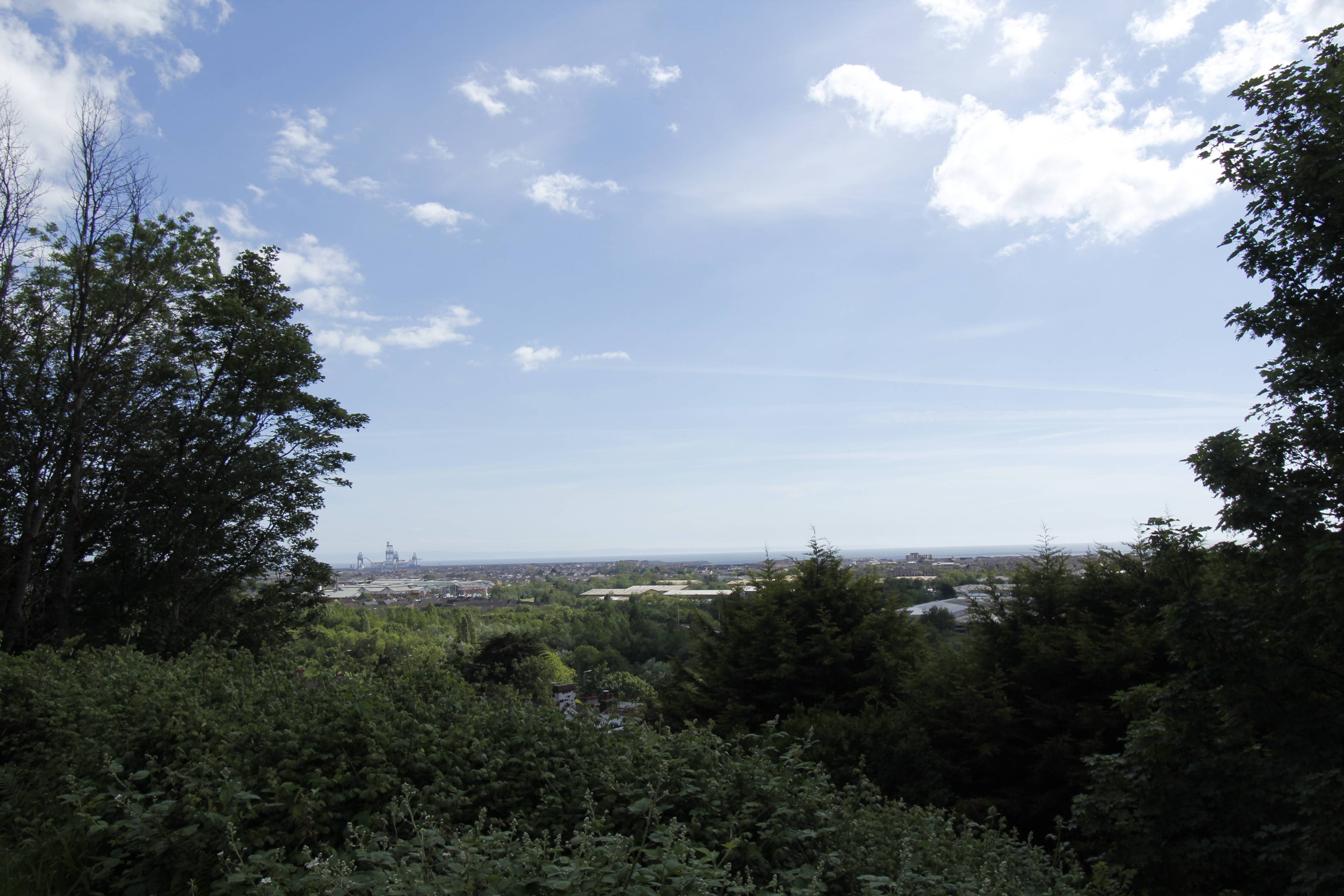 View