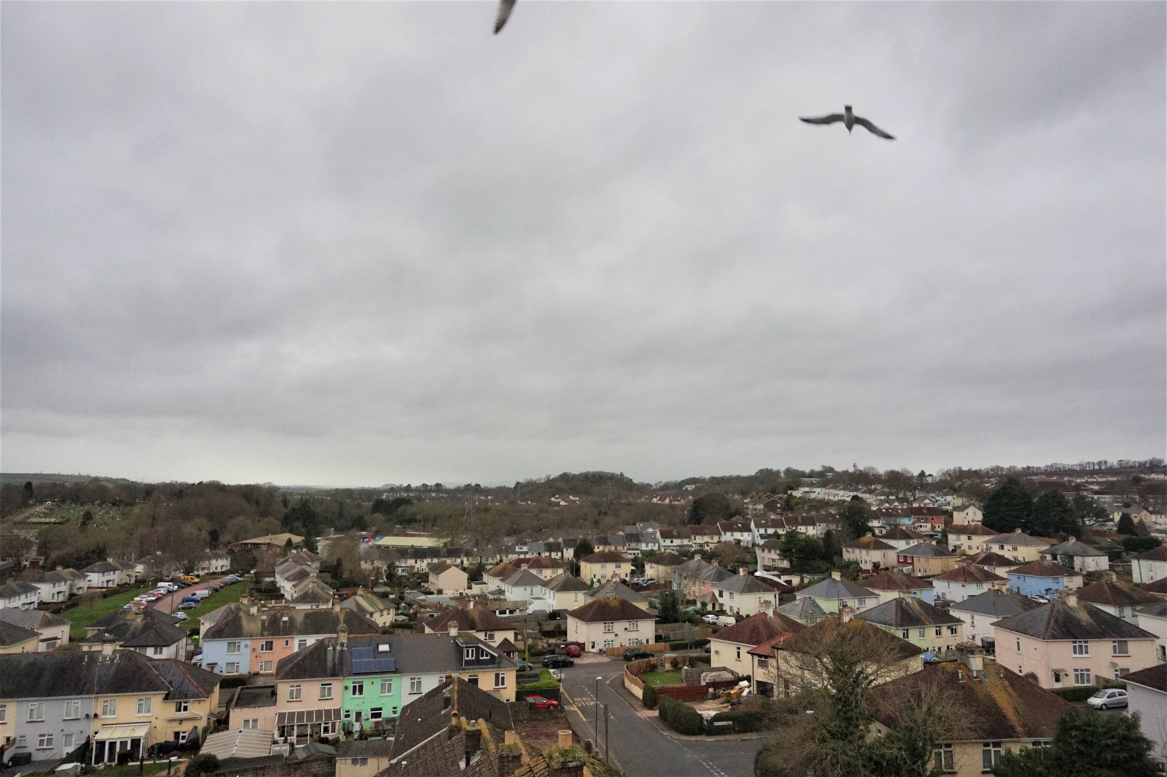 View