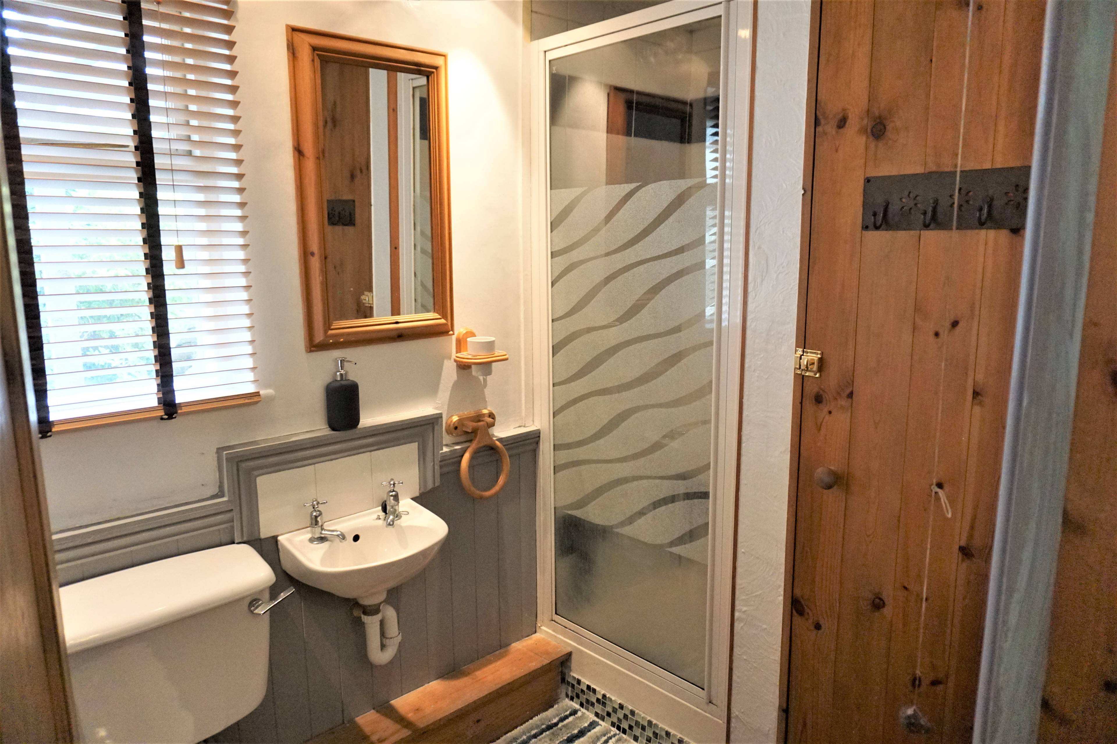 Downstairs Shower