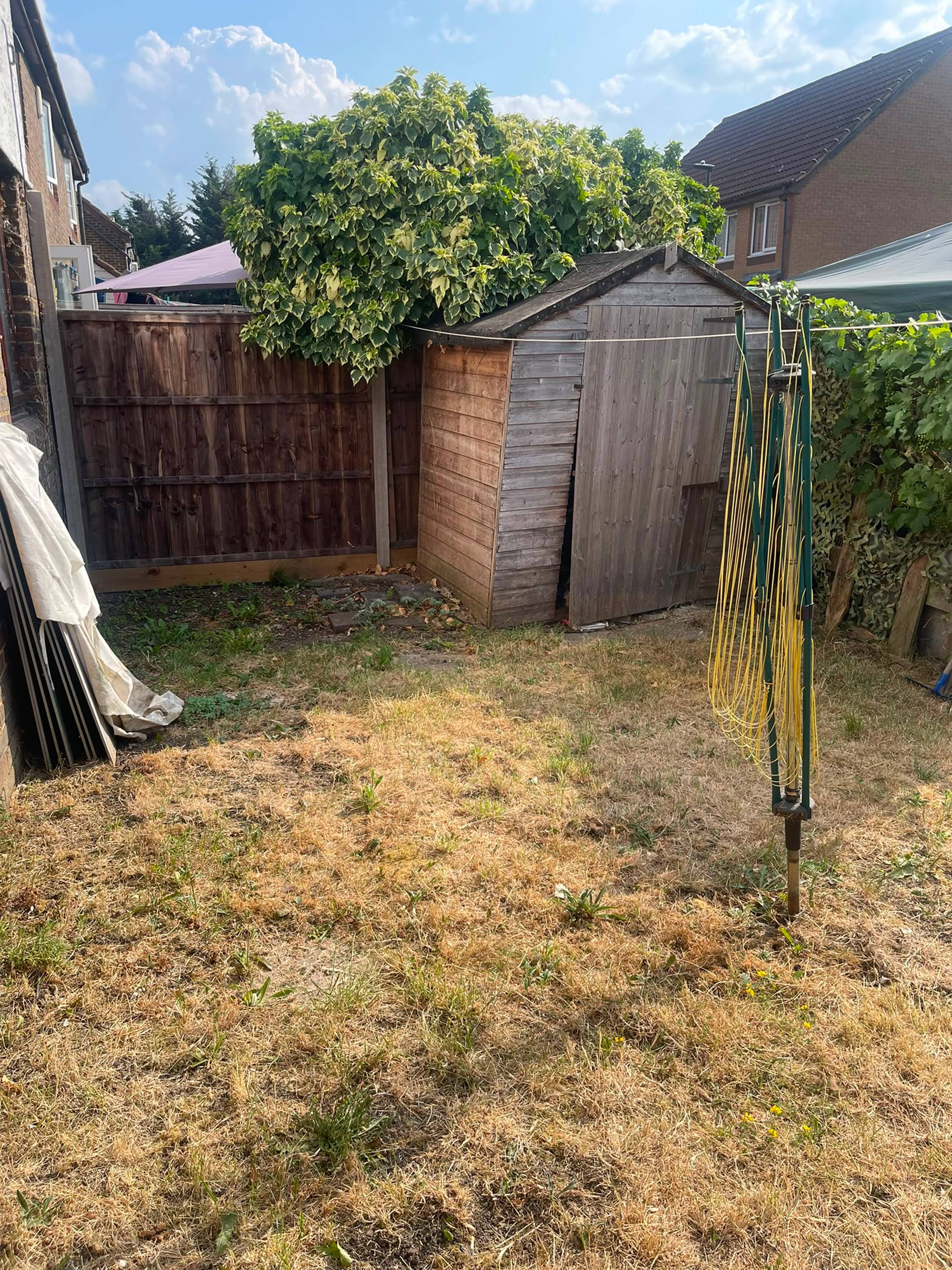 garden
