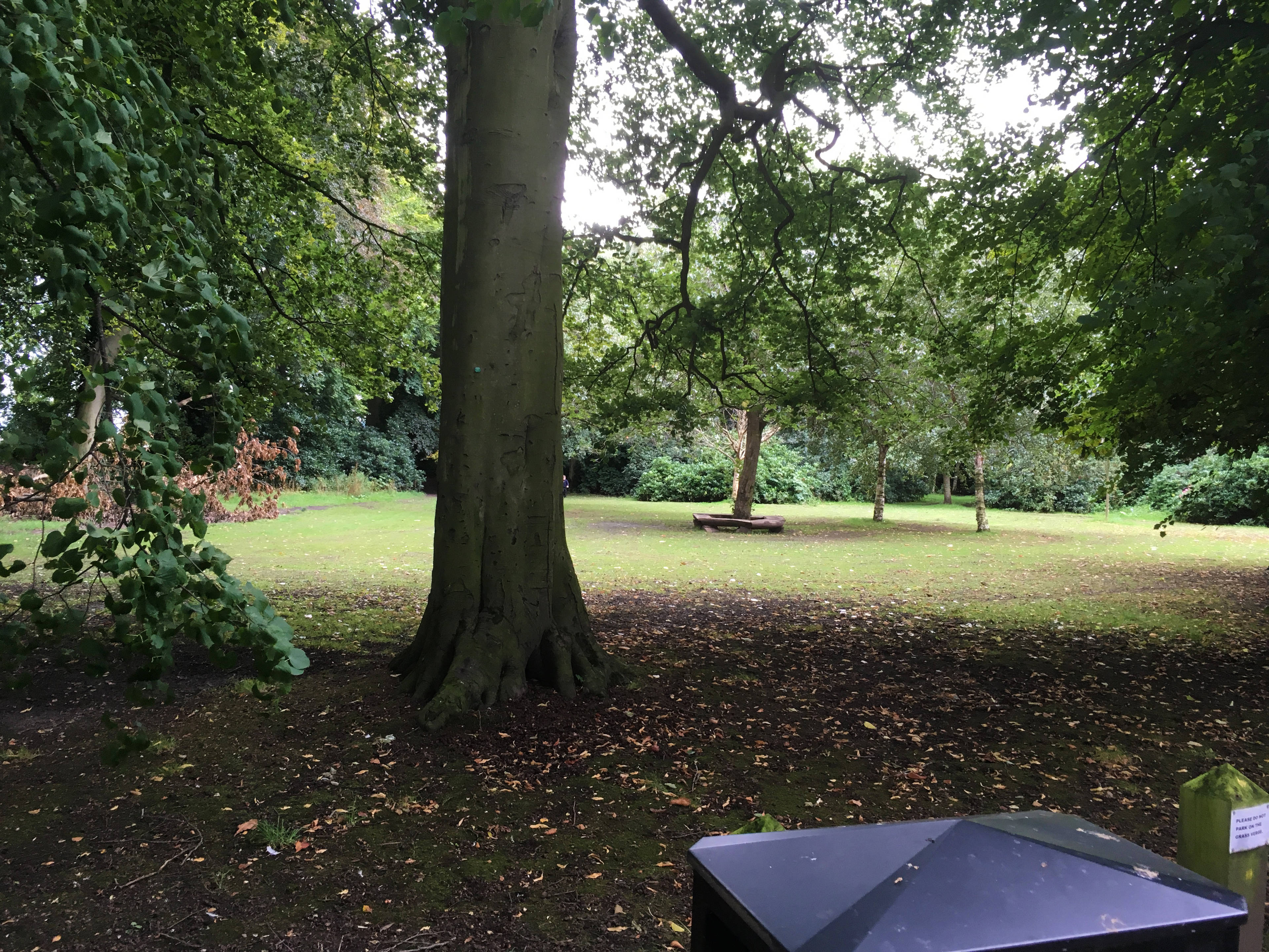 The Park