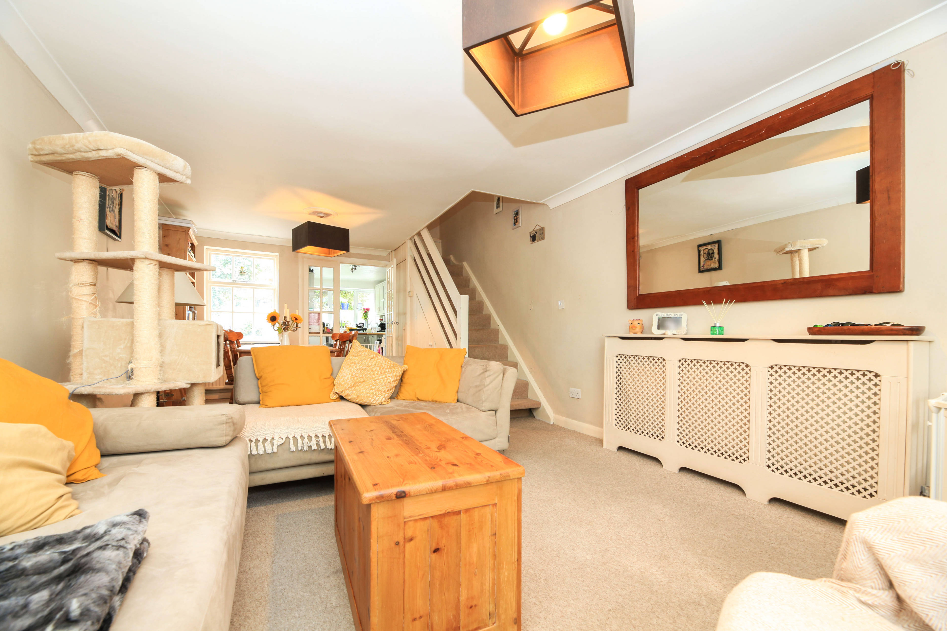 Living / Dining Room